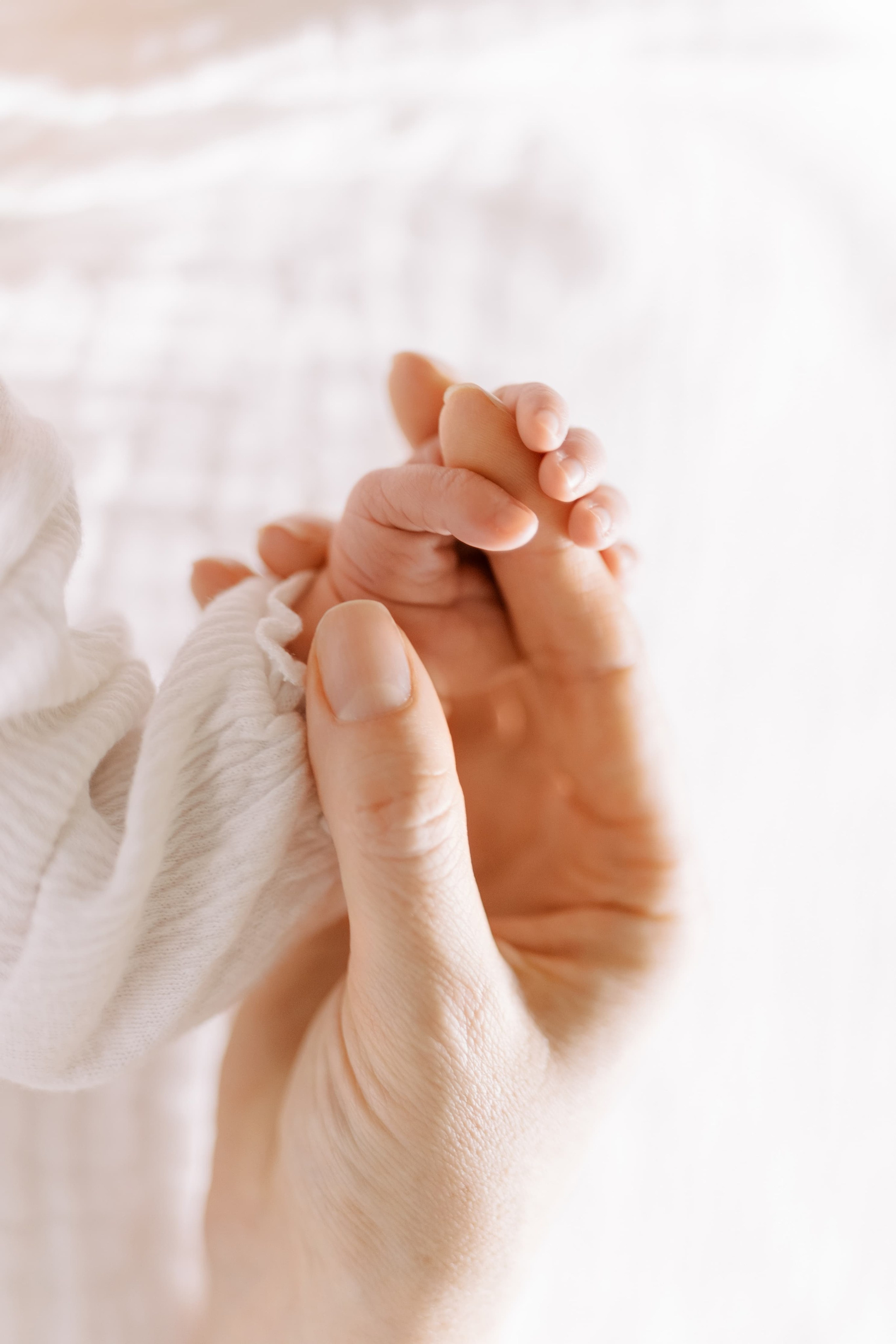 Family photoshoot. Vladimir & Tatiana and children. February 2024. EVAN ARISTOV WEDDING PHOTOGRAPHY — Seattle Wedding Photographer