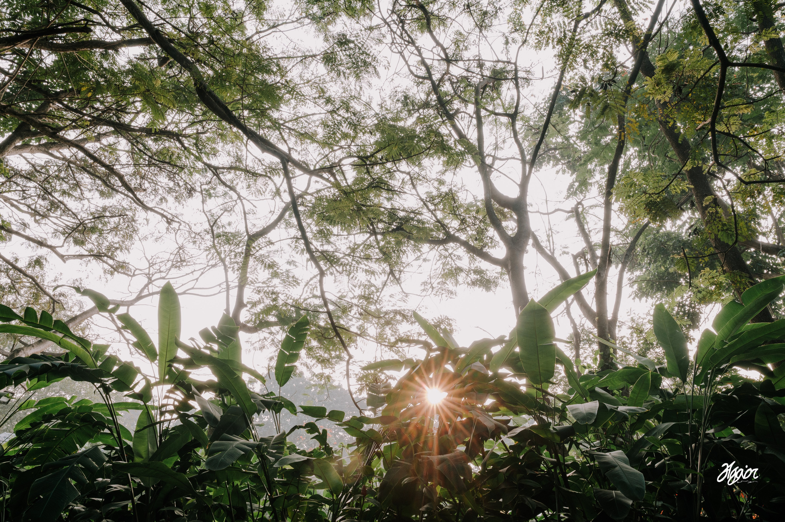 A Three-Day Bangalore Wedding Story | Emotional South Indian Wedding at KBL Saarang. Agam Vizha