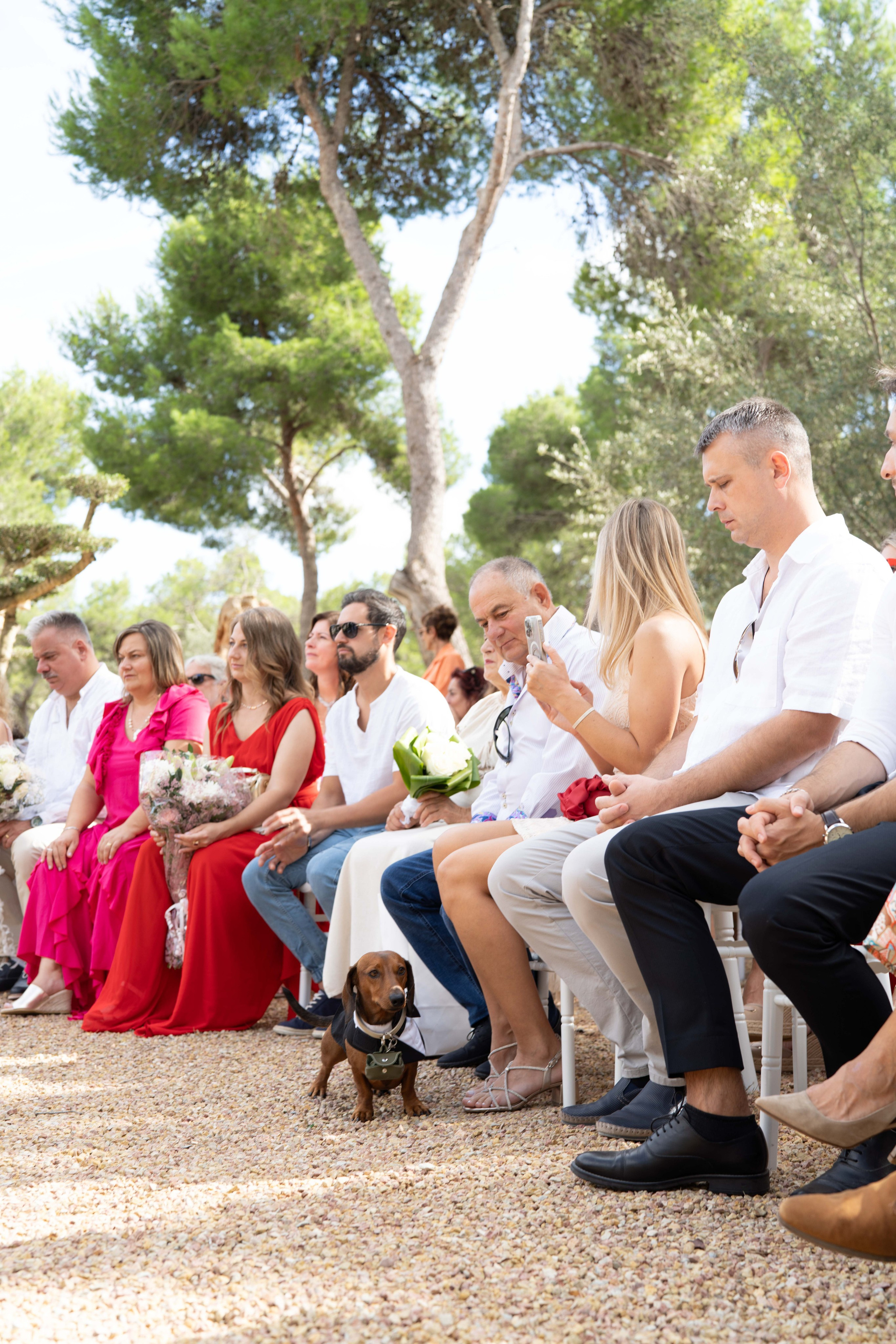 Wedding. Фотограф у Пальма де Майорка