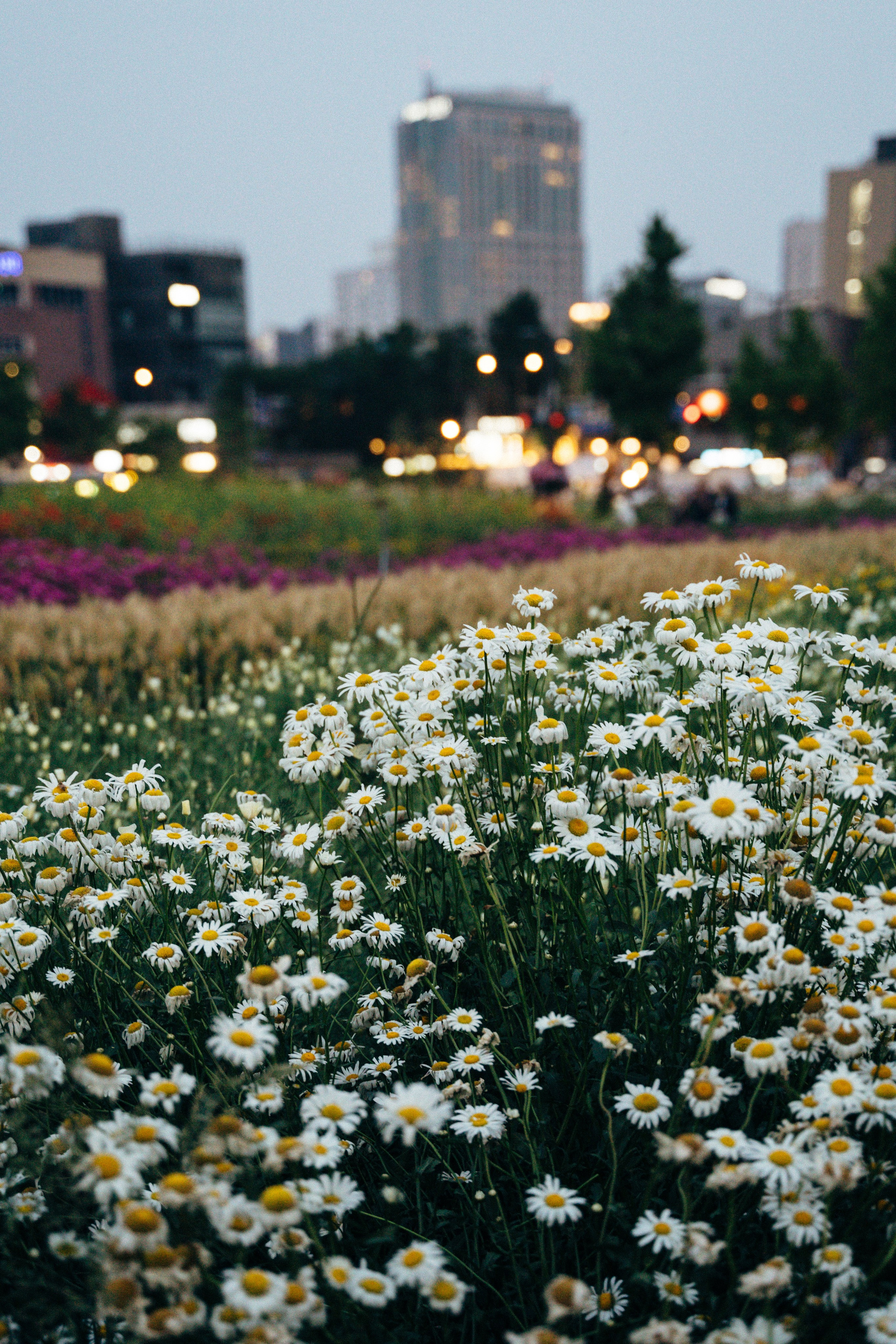 🇰🇷 Южная Корея. Фотограф и travel-блоггер Александра Гриценко