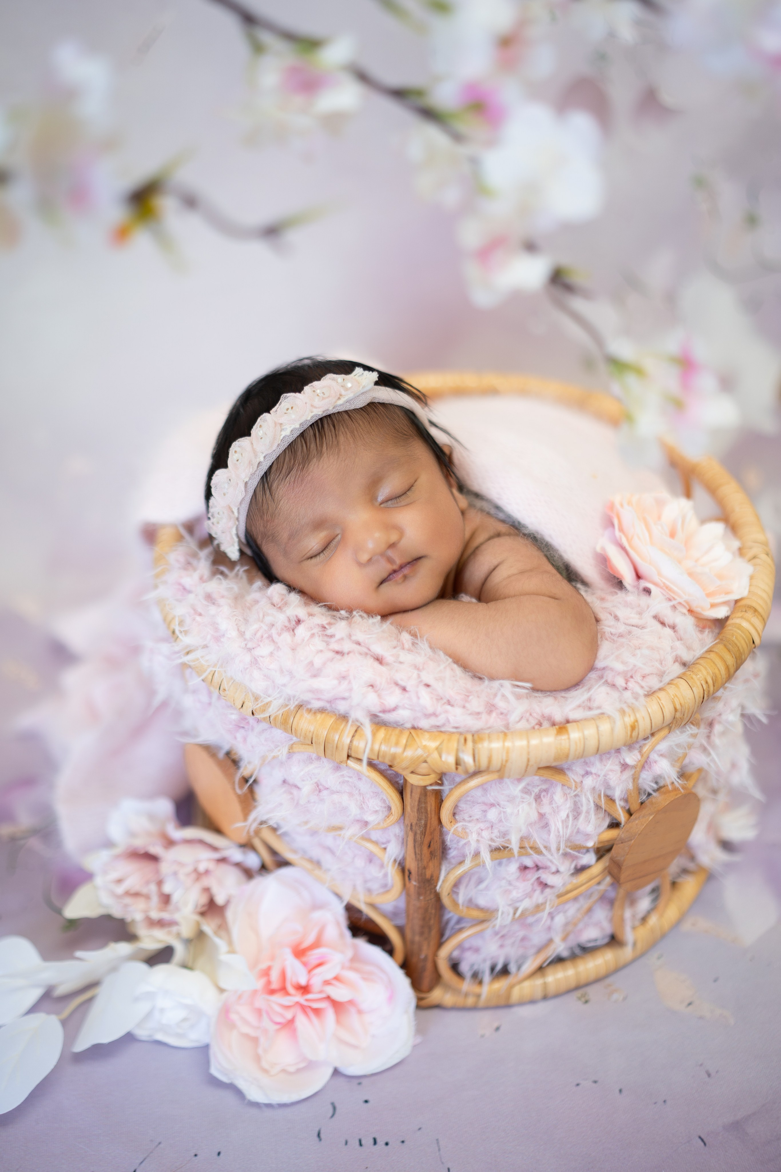 Posed Newborn. Maternity, family and newborn photography in San Francisco Bay Area