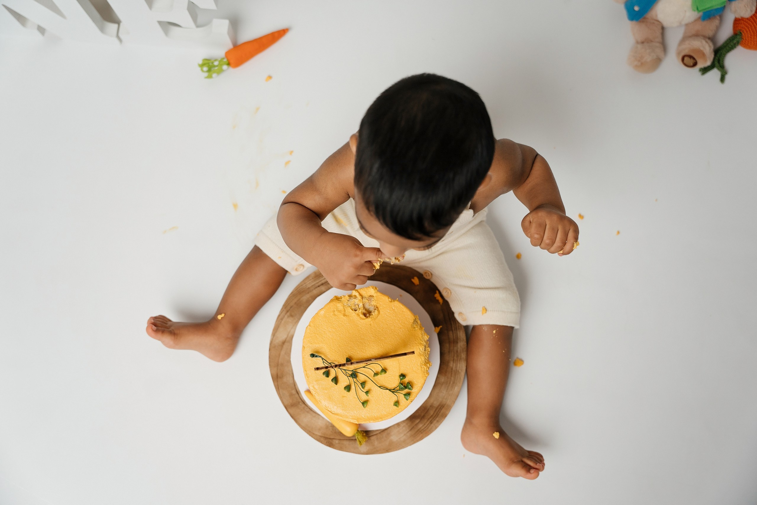 Peter rabbit cake smash session. Newborn and family photographer. Hills District. Sydney