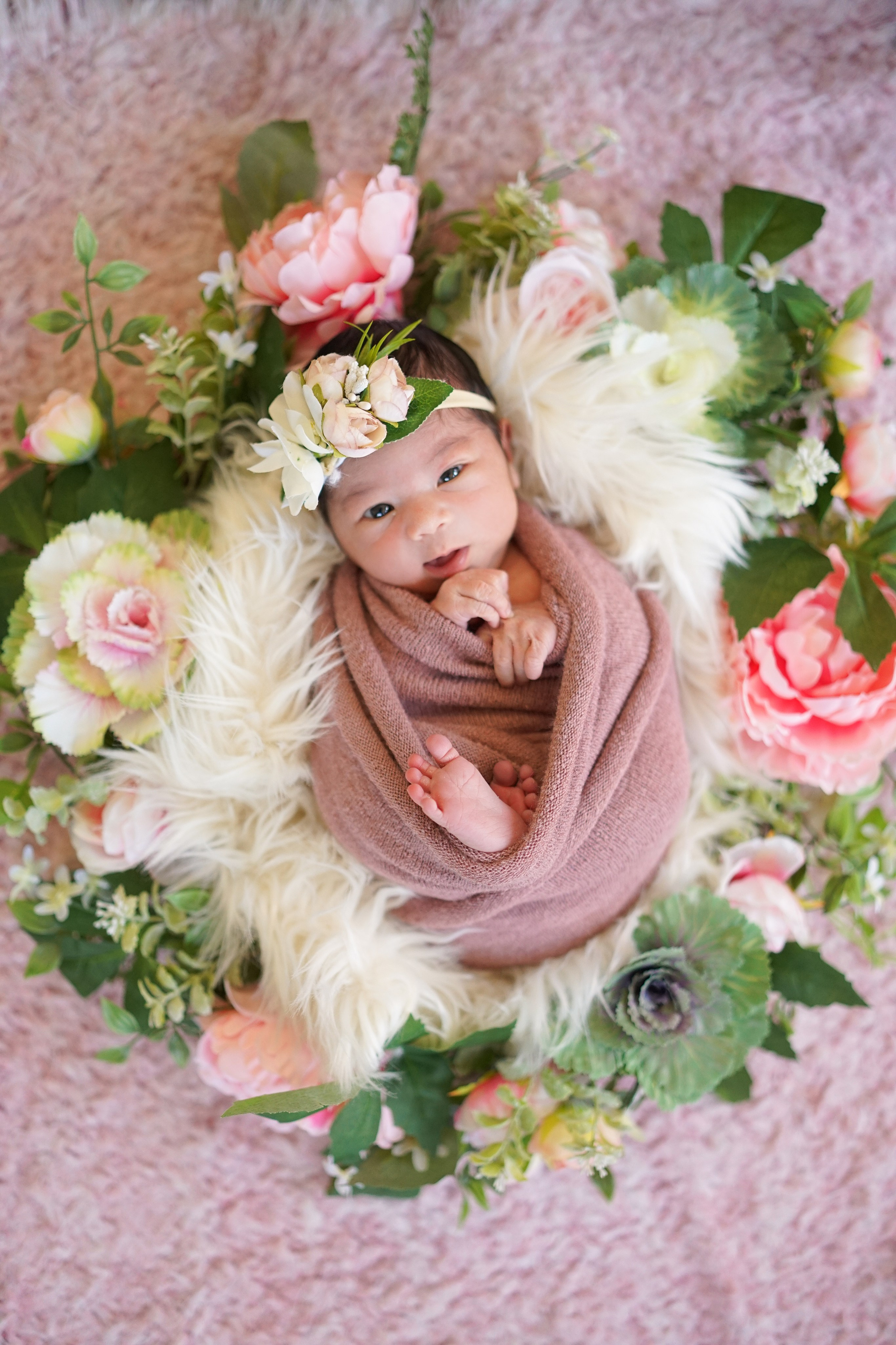 Posed Newborn. Maternity, family and newborn photography in San Francisco Bay Area