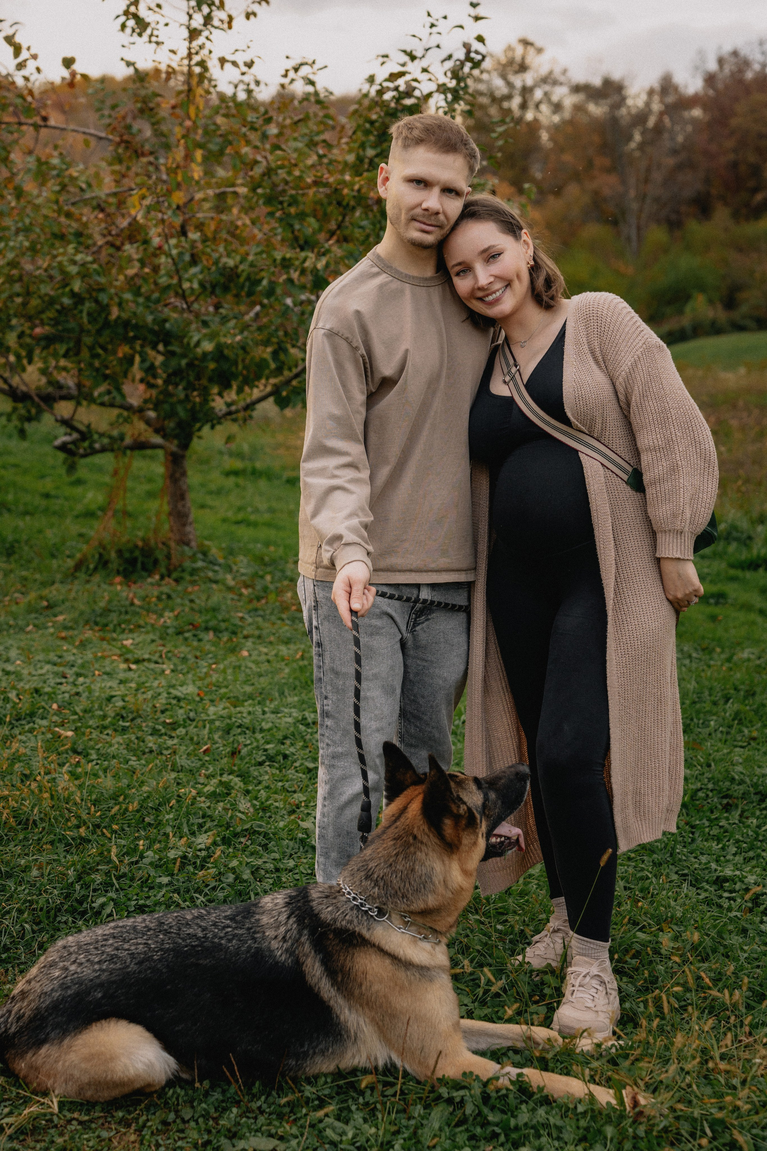 Fall Maternity Photography – Golden Autumn & Apple Orchard Magic. Alisa Tant — Family and newborn photographer Bucks County, Montgomery county, Philadelphia, NJ