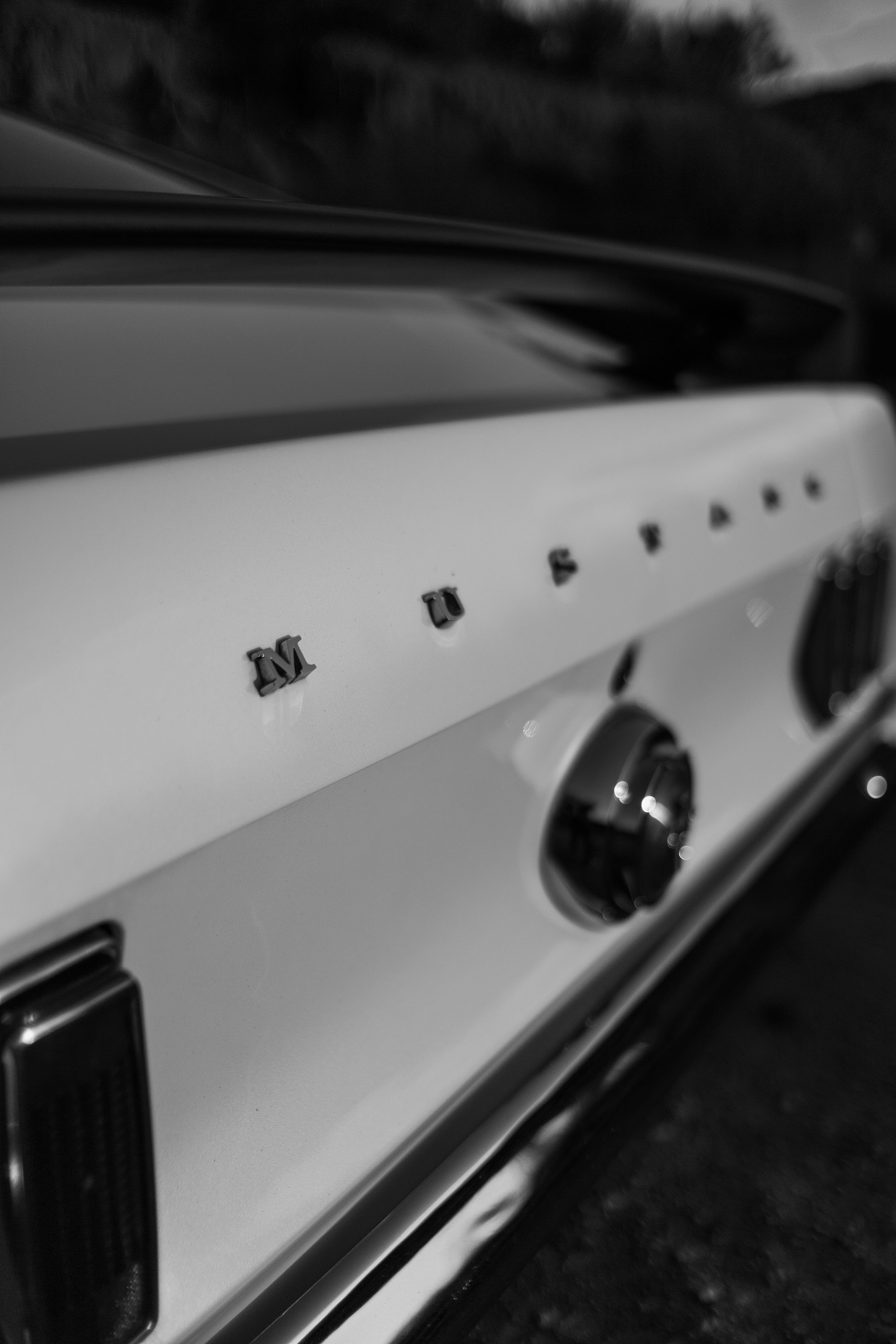 Weddings and Portrait Photographer San Diego