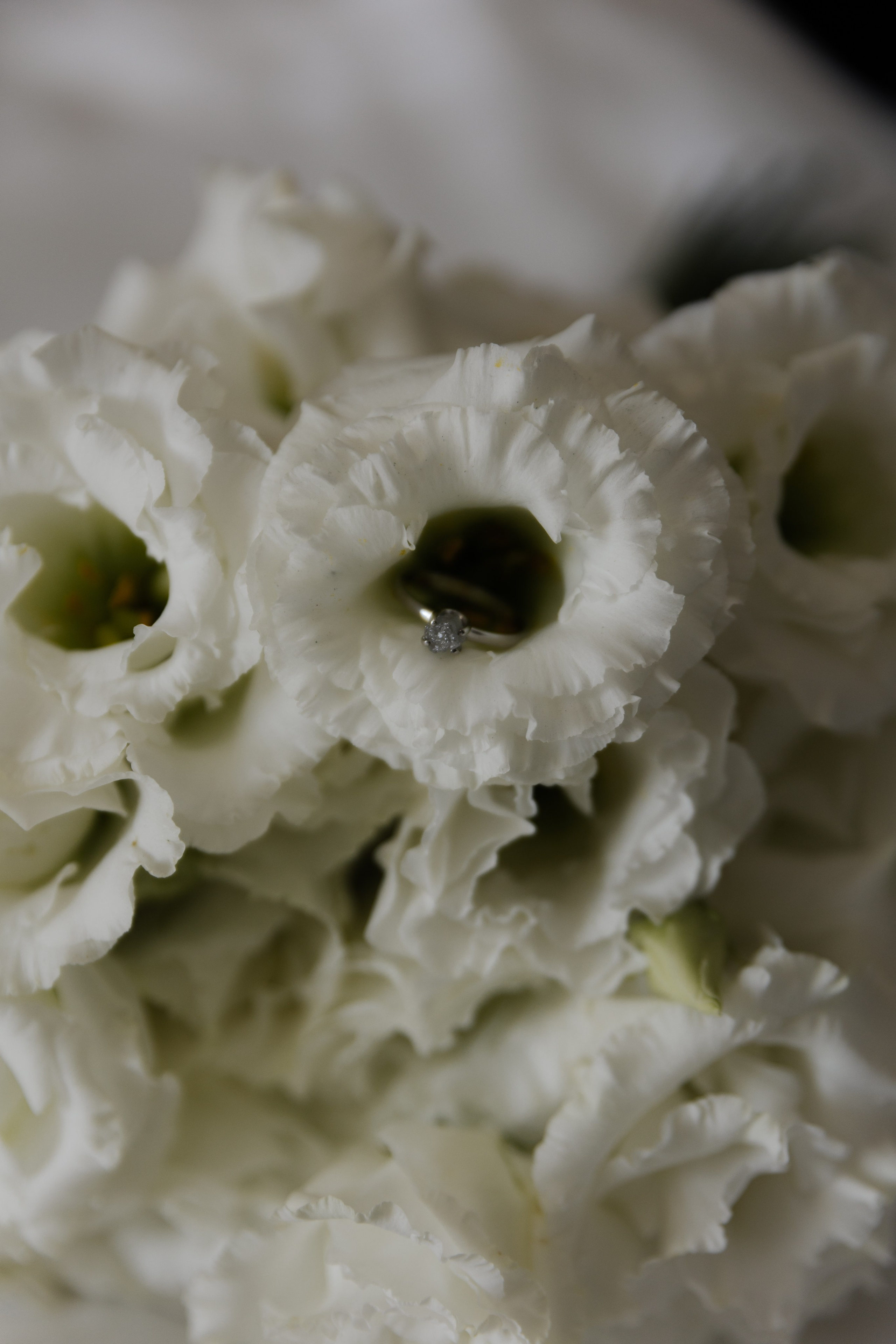 George & Alina | Wedding at Hotel Timisoara. Wedding photographer and videographer based in Timisoara, Romania