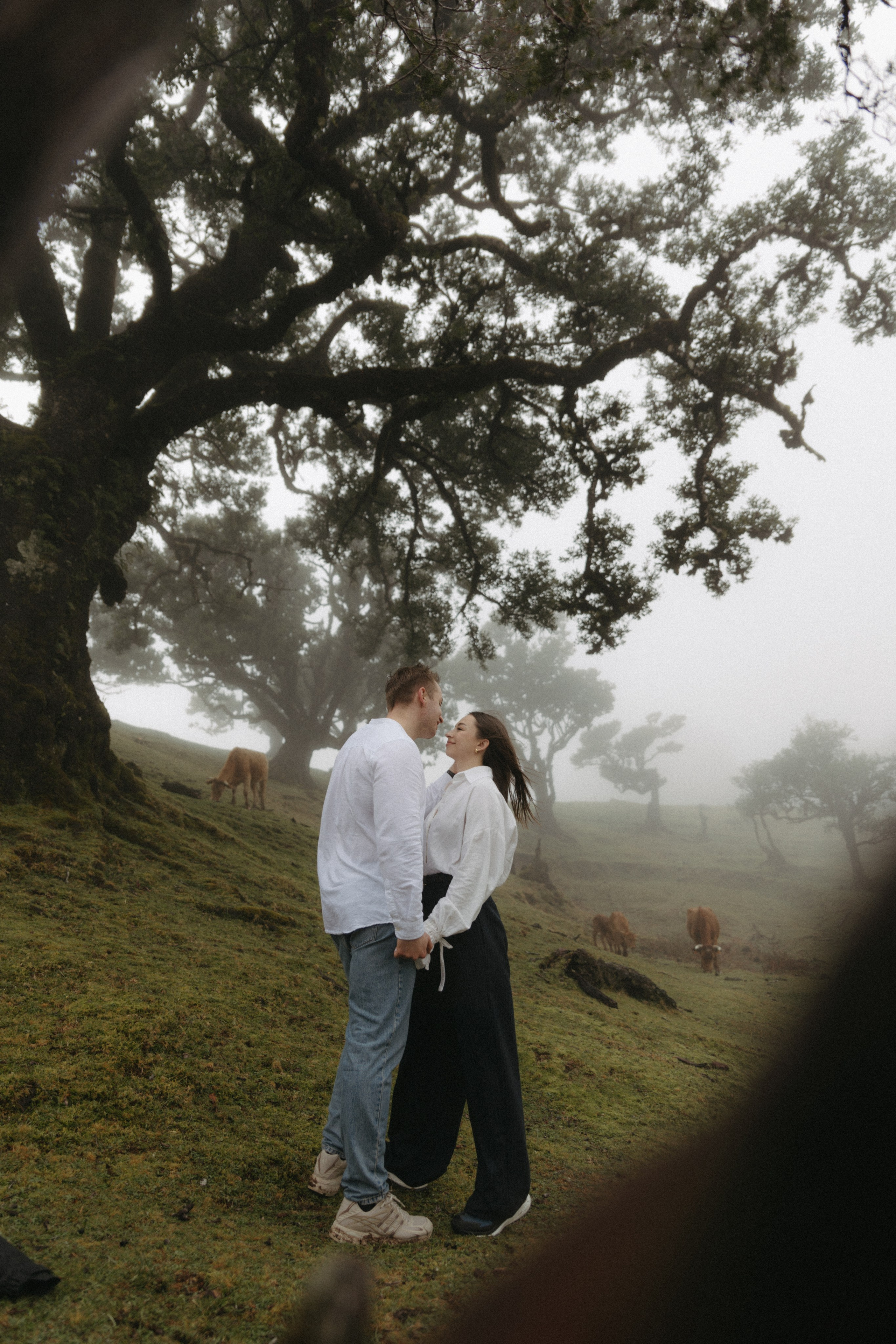 Magic of Fanal Forest. Wedding photographer and videographer based in Timisoara, Romania
