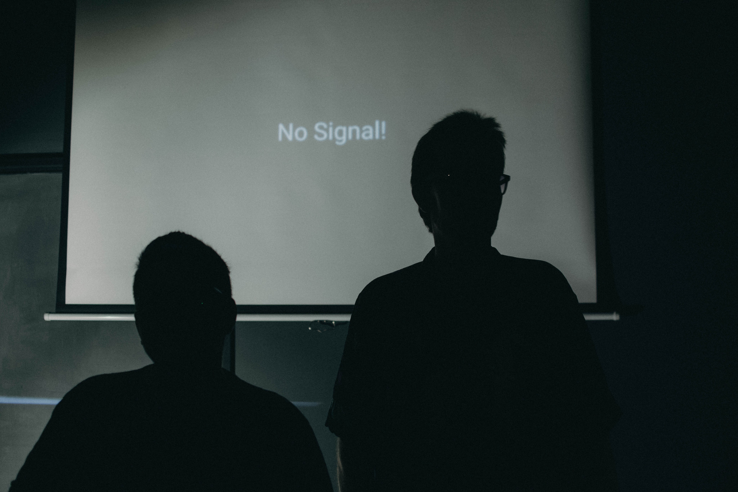 Kiski-mushki. Photographer @elmirkami in the city of Buenos Aires