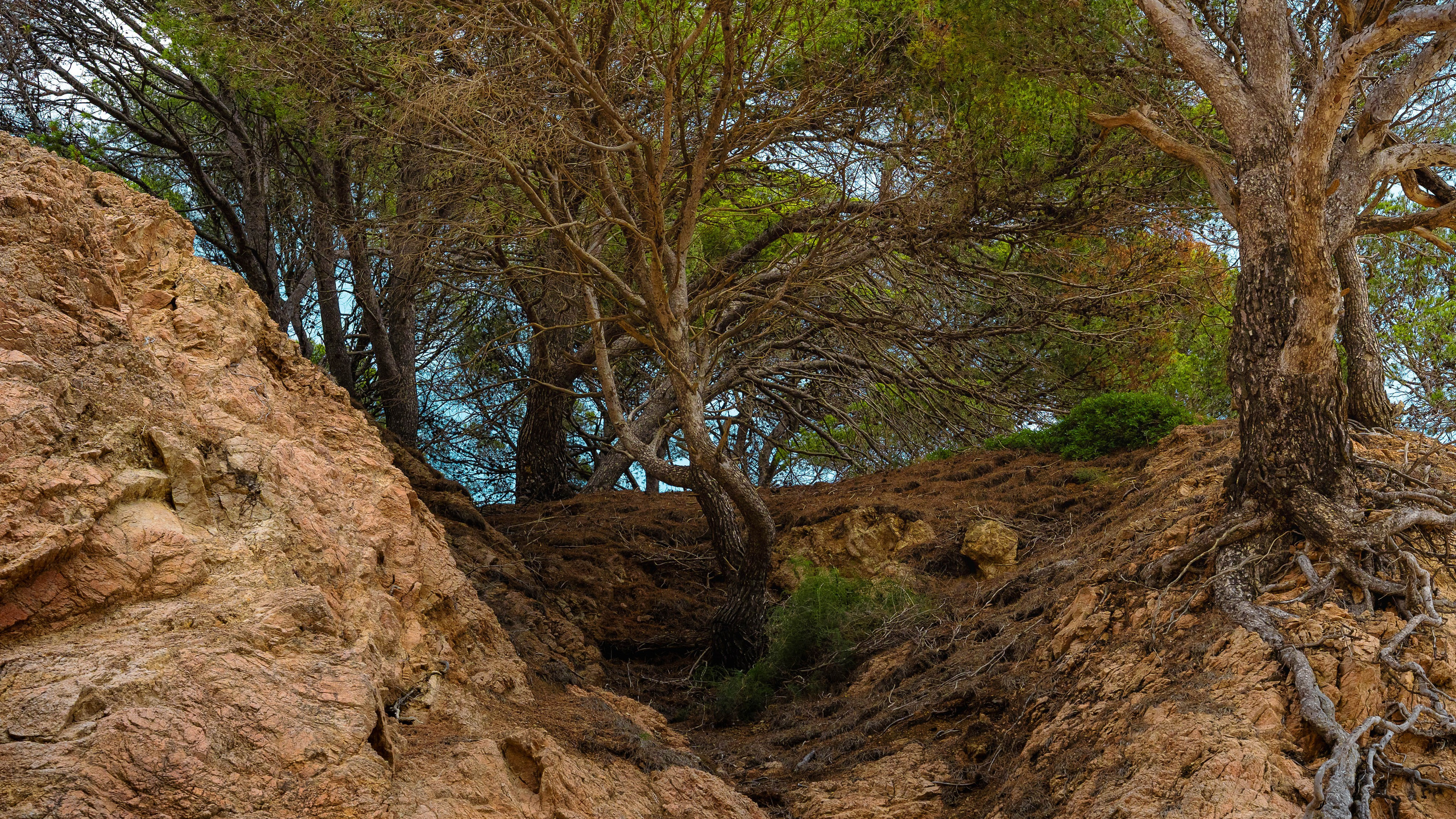 Fine Art Photography Collection — Tossa de Mar | Raymond. Photographer in Chisinau — Raymond | Portraits, Events & Product Photography