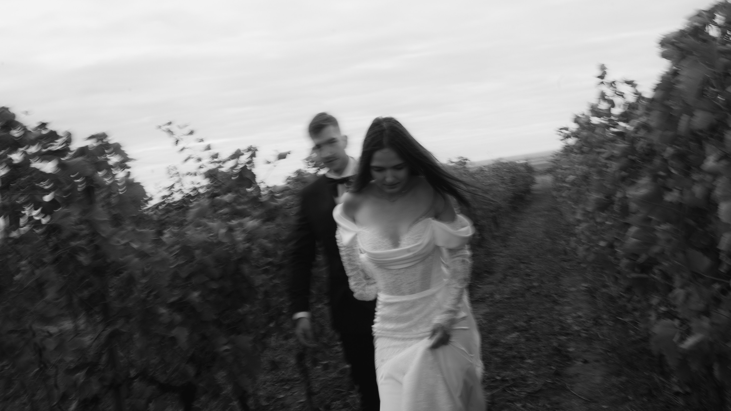 Pachete. STORYCATCHERS