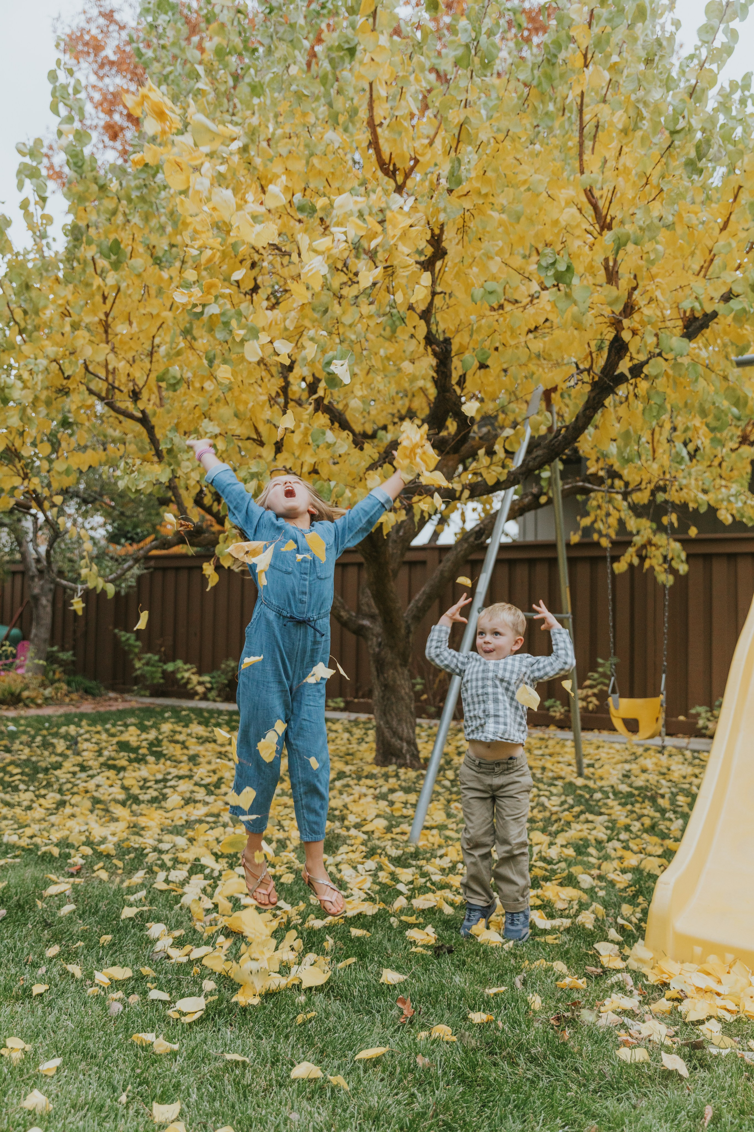 Alicia Bush Photo. Utah Family Photographer
