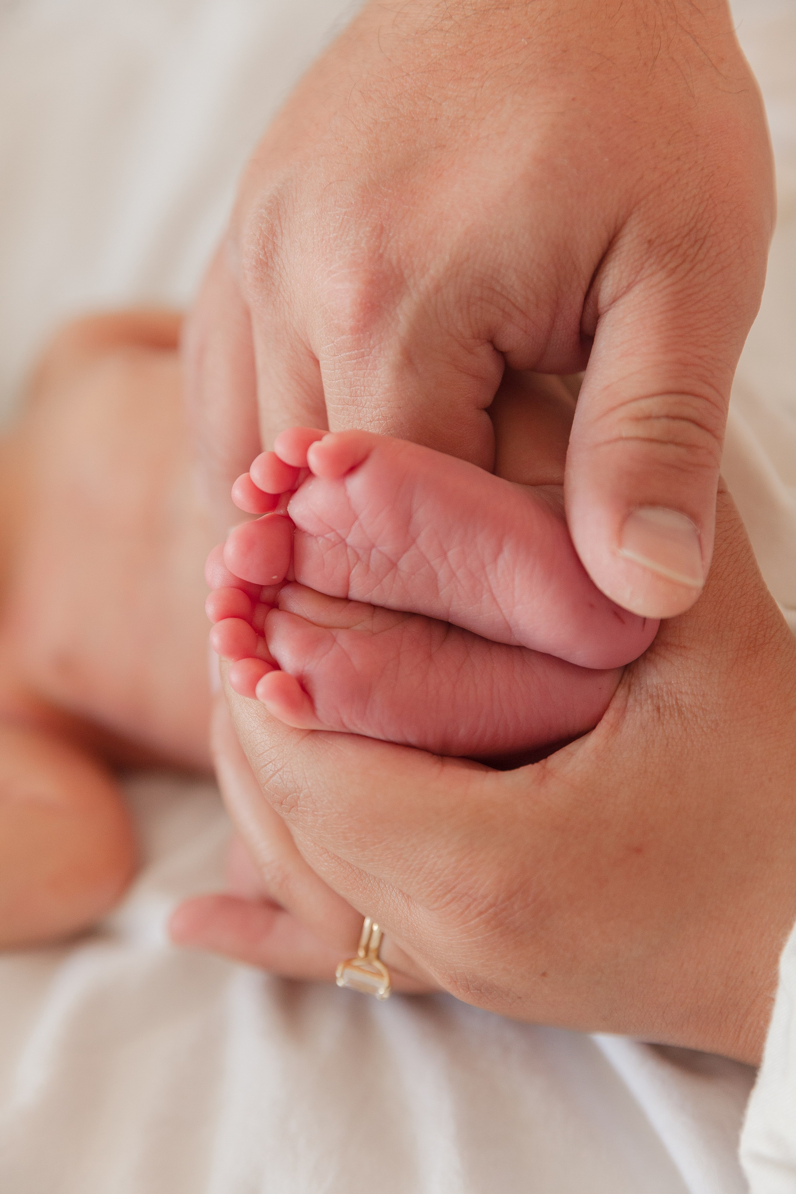 Services. Marina Pravda Photography San Francisco Bay Area