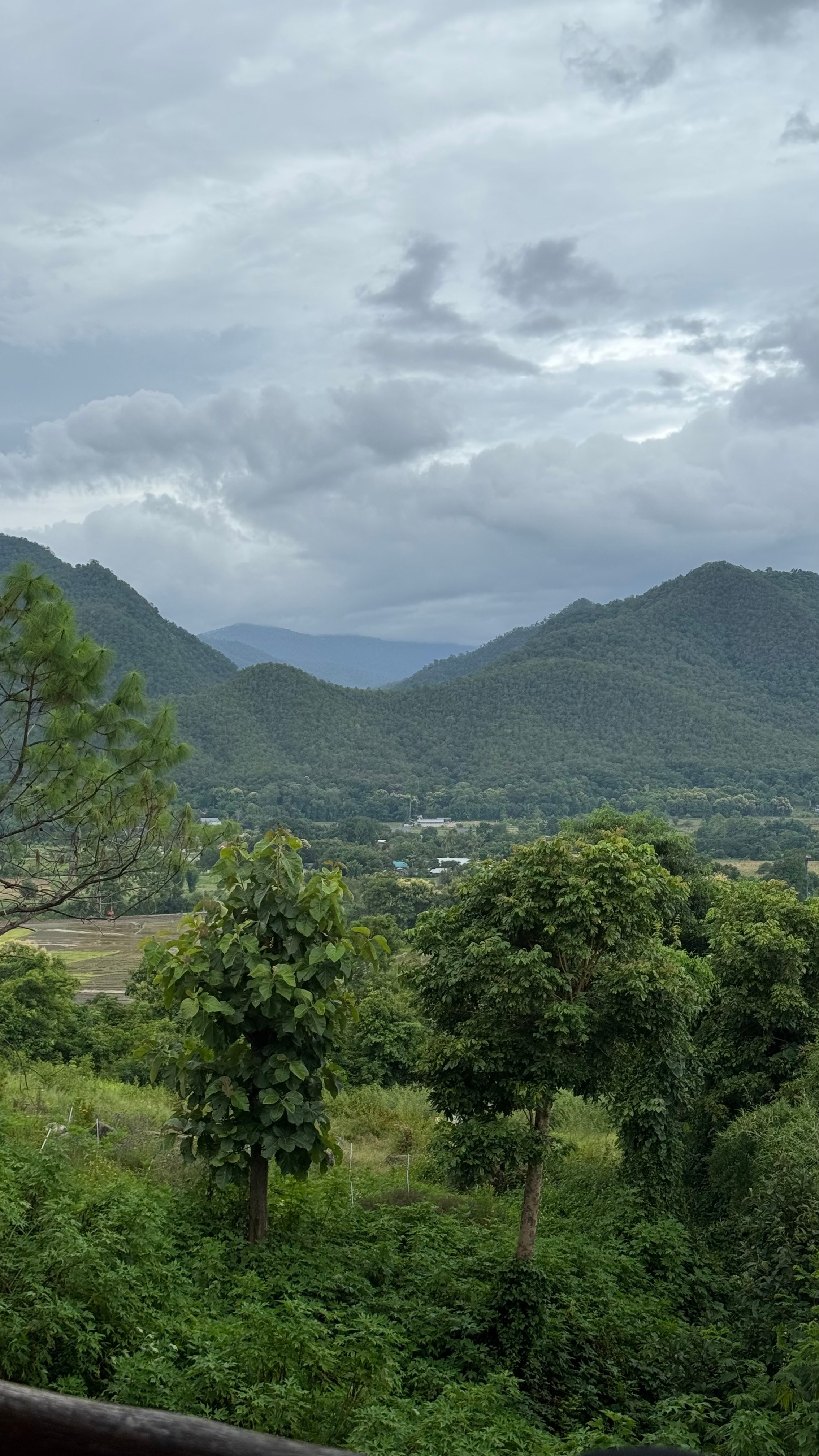 Совместное путешествие на север Таиланда. Женский клуб в Паттайе