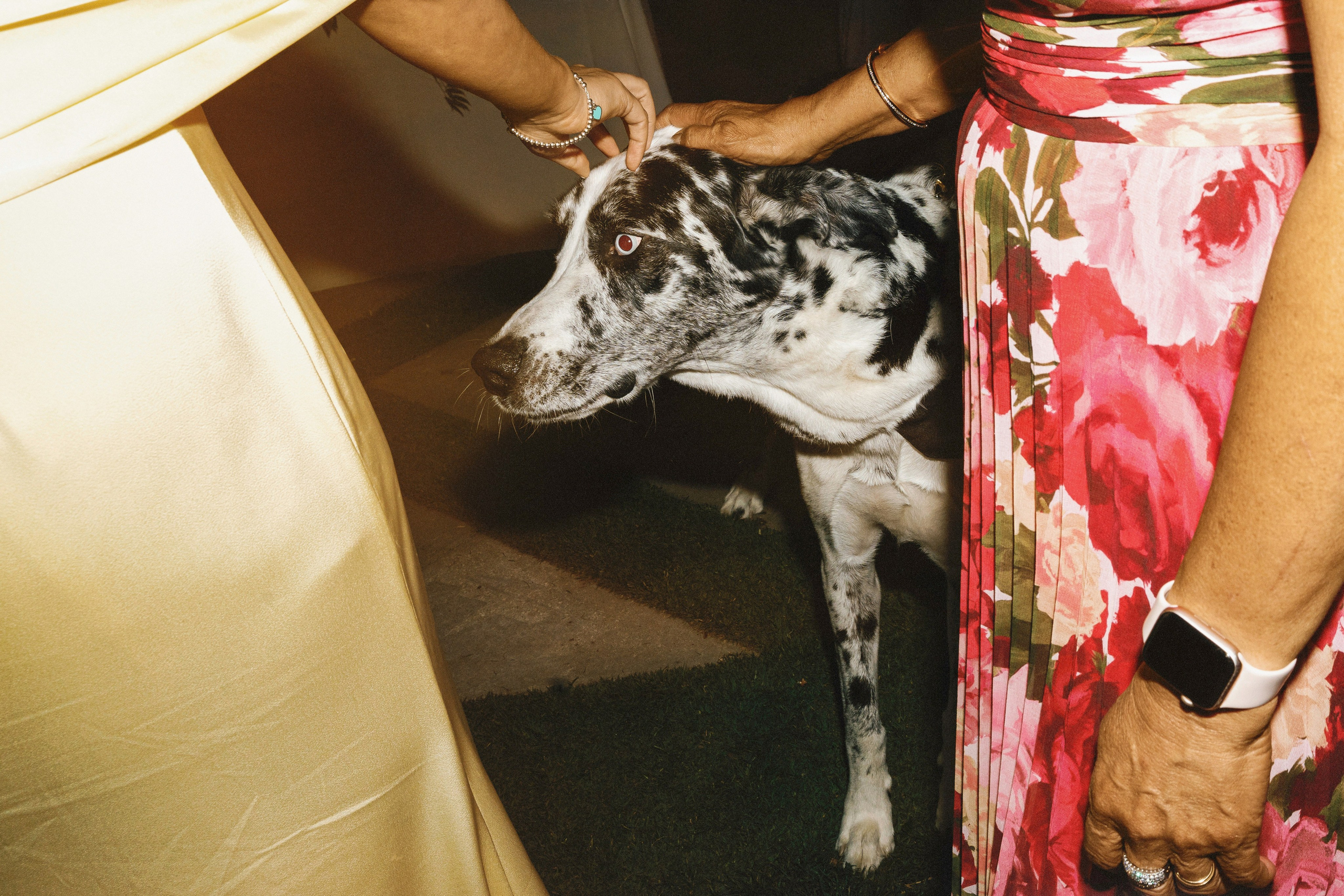Heather and Cameron’s Wedding Day. Wedding Photography & Videography Team in California, Los Angeles, San Francisco, San Diego and Travel