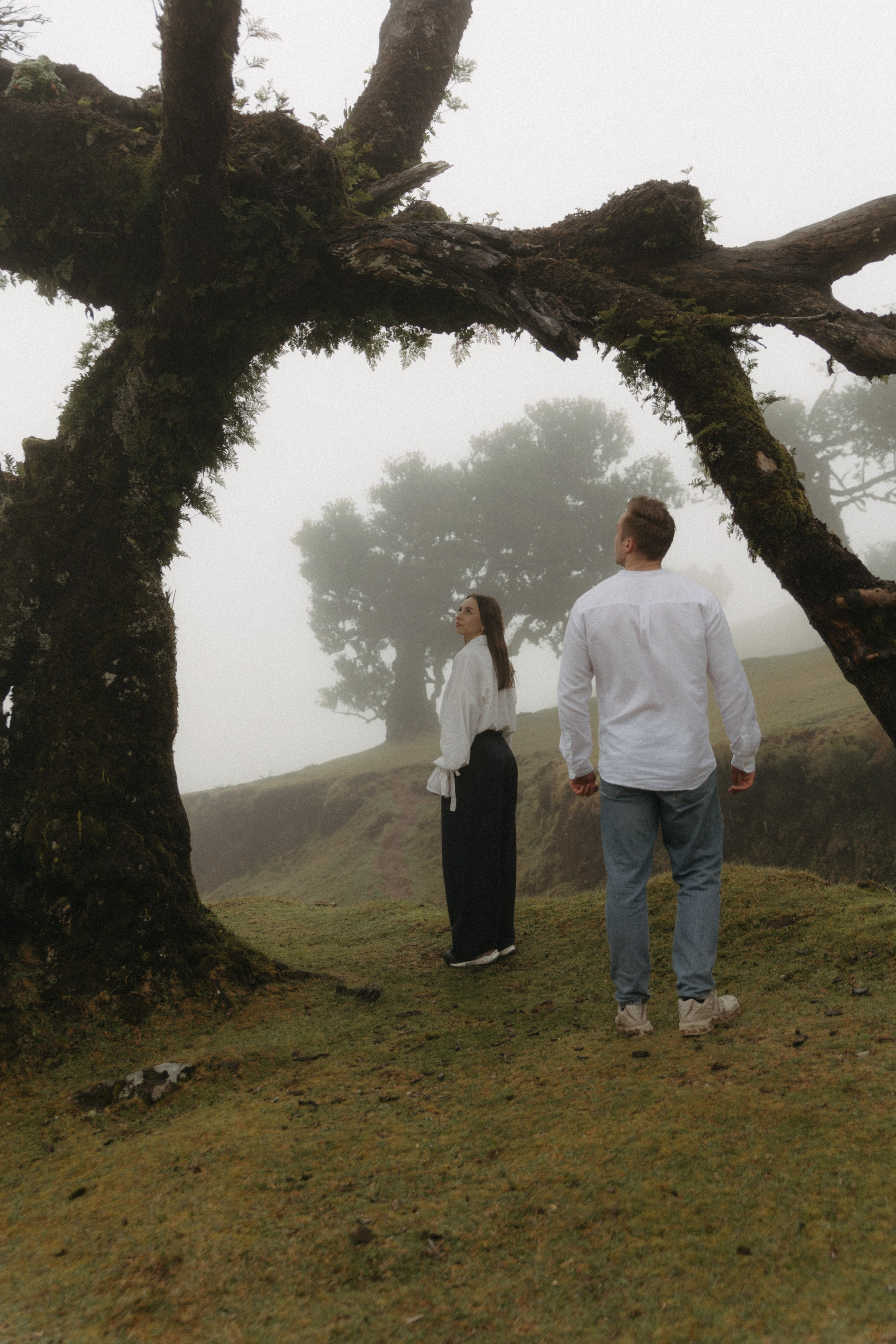 Magic of Fanal Forest. Wedding photographer and videographer based in Timisoara, Romania