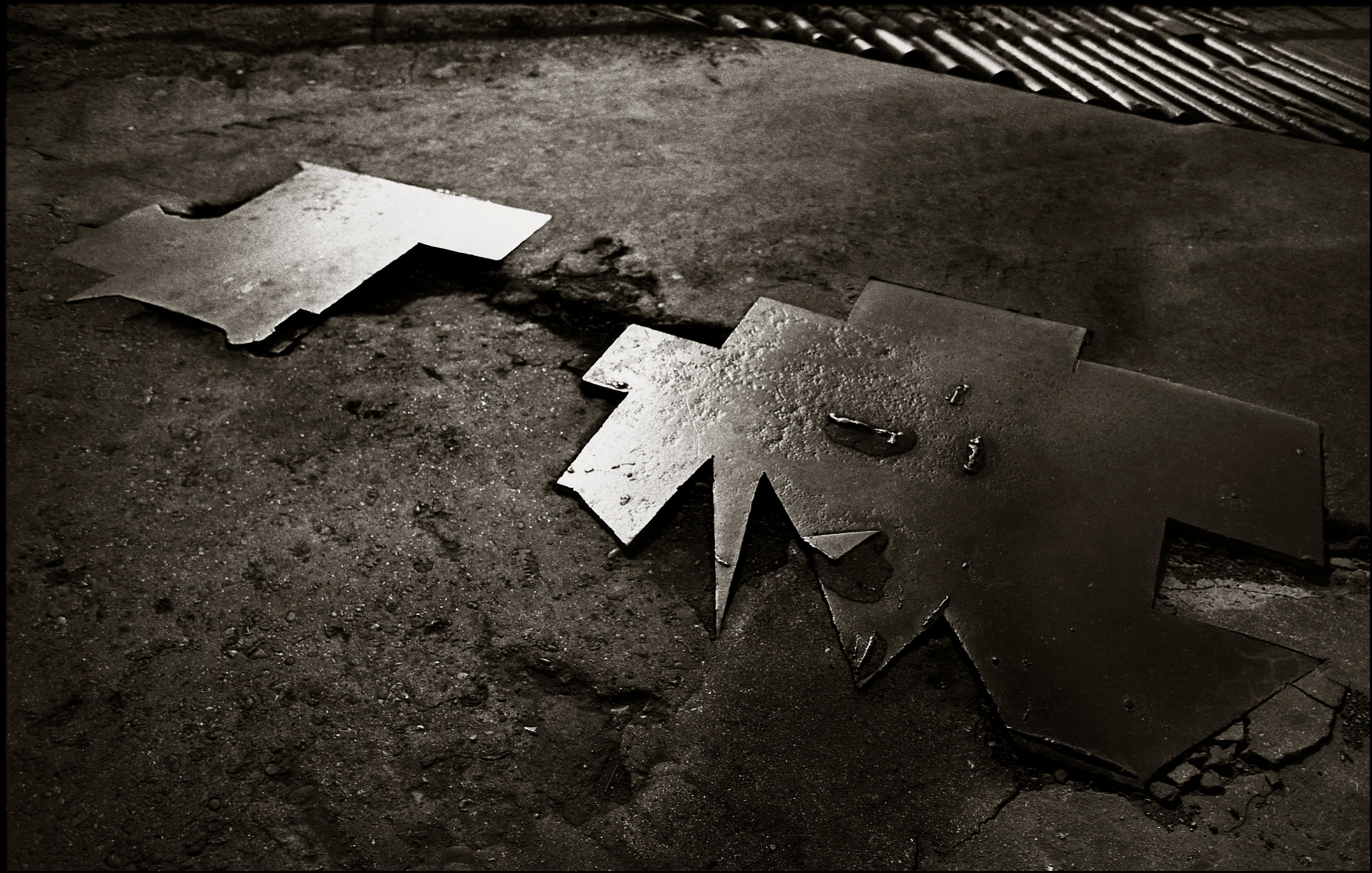 FIELD OF THE MASTER. Www.sananaleskerov.com