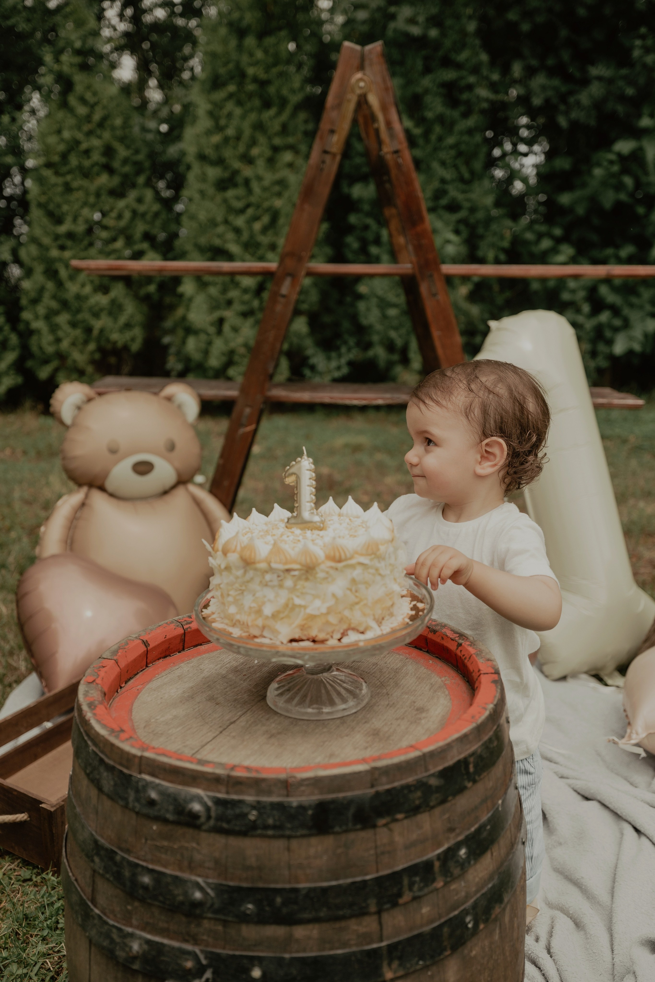 Armin — Micul explorator împlinește 1 an. Emotions Photo Art