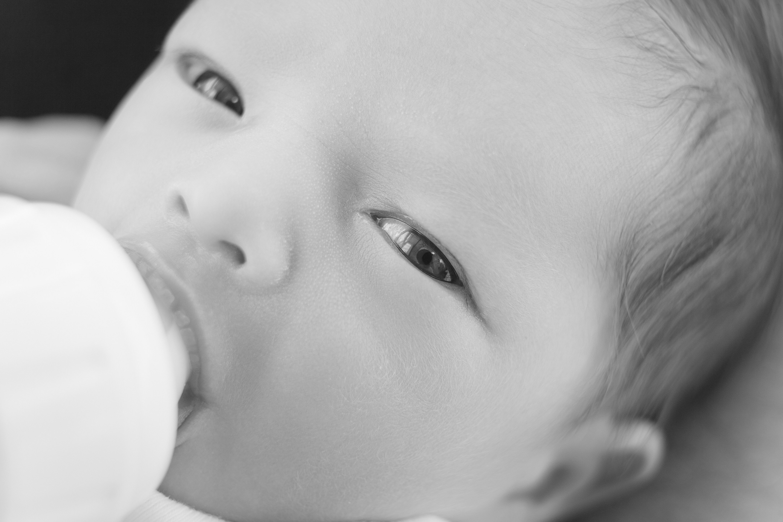 Services. Marina Pravda Photography San Francisco Bay Area