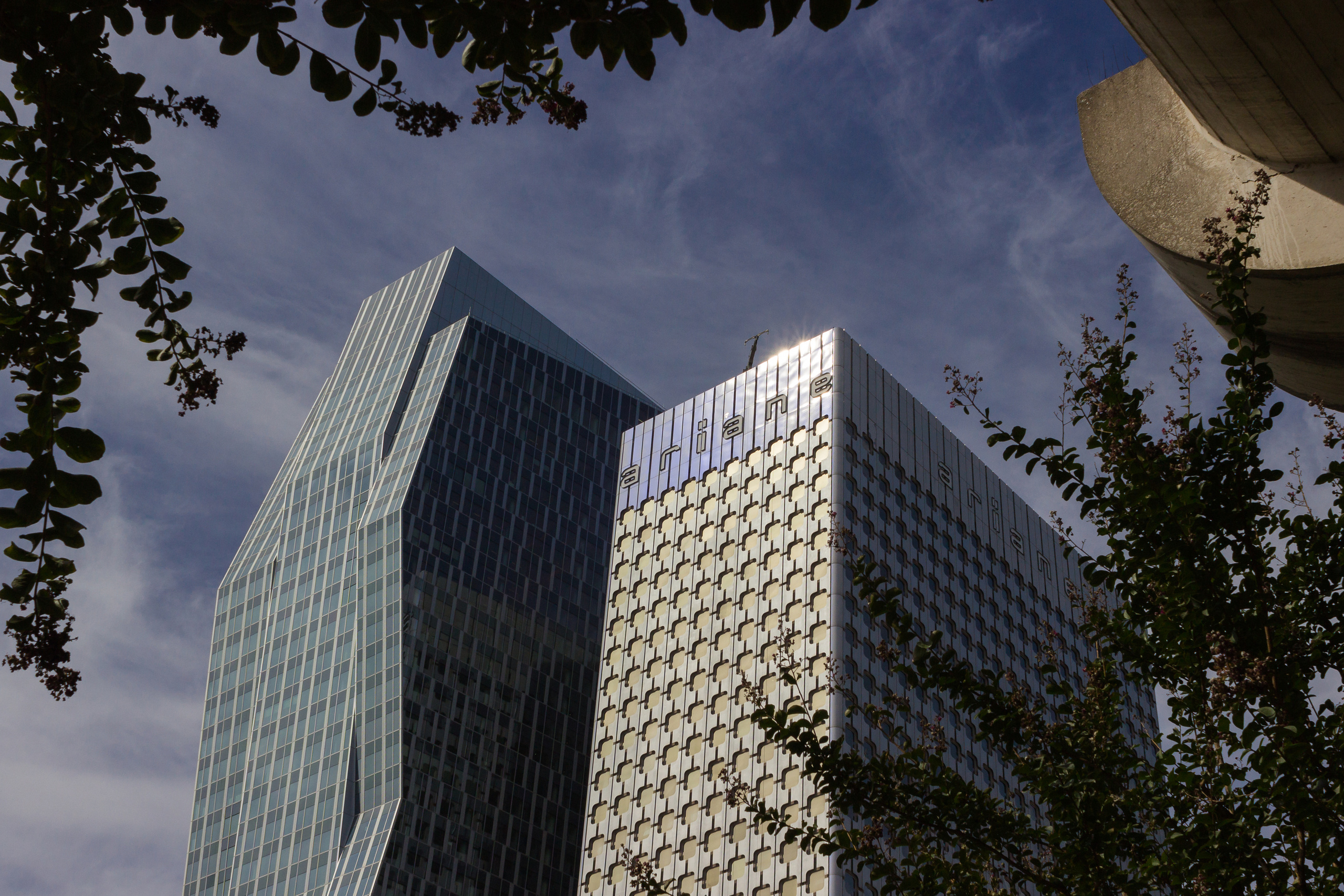 La defense. Photographer ~ based in vilnius ~