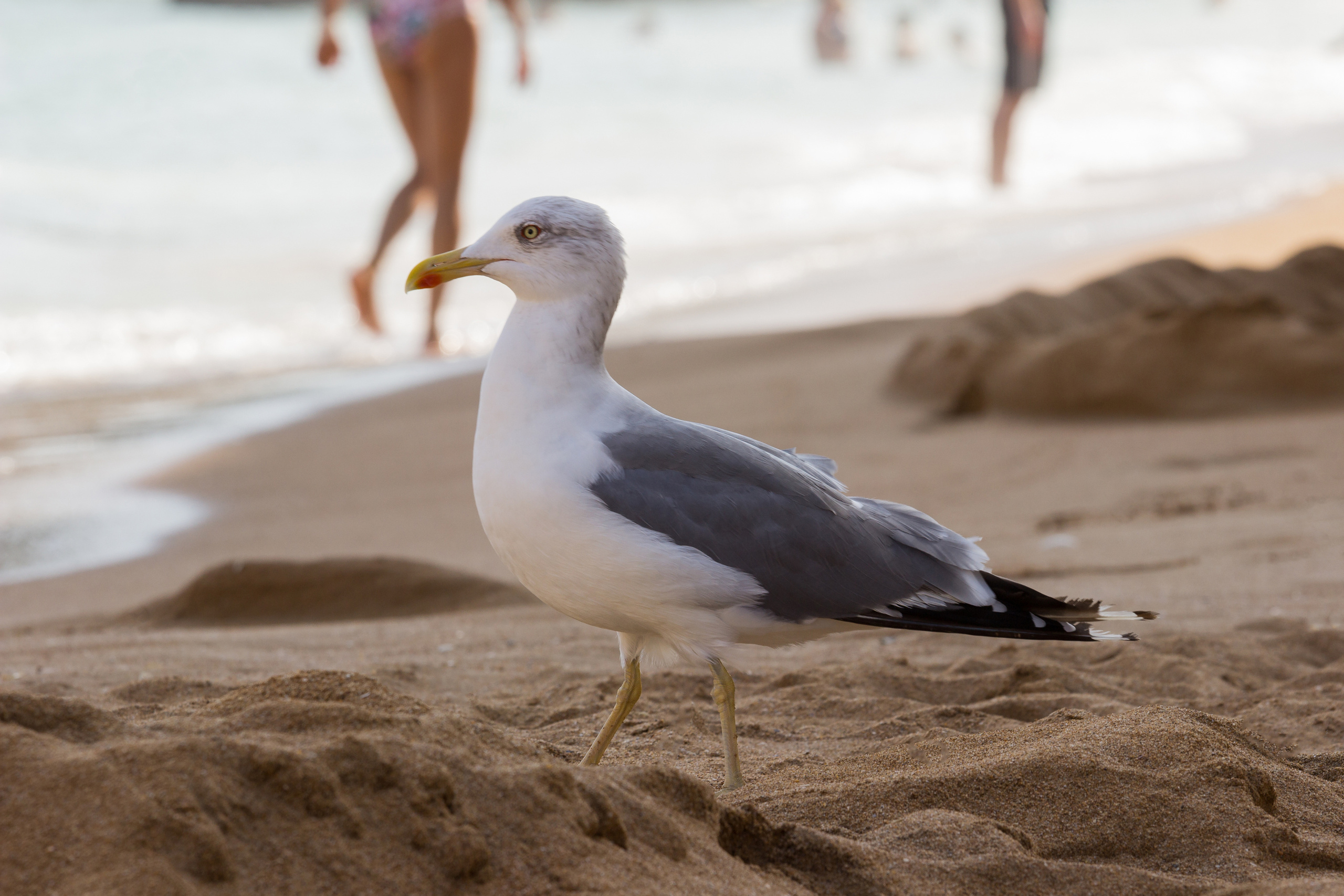 Lagos. Photographer ~ based in vilnius ~