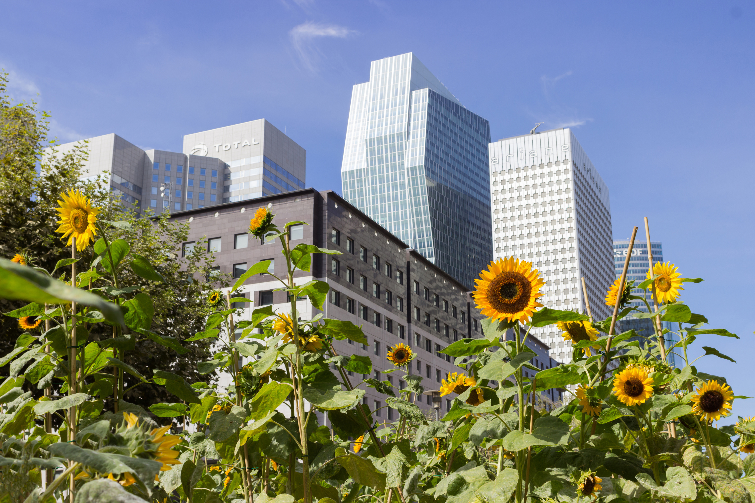 La defense. Photographer ~ based in vilnius ~
