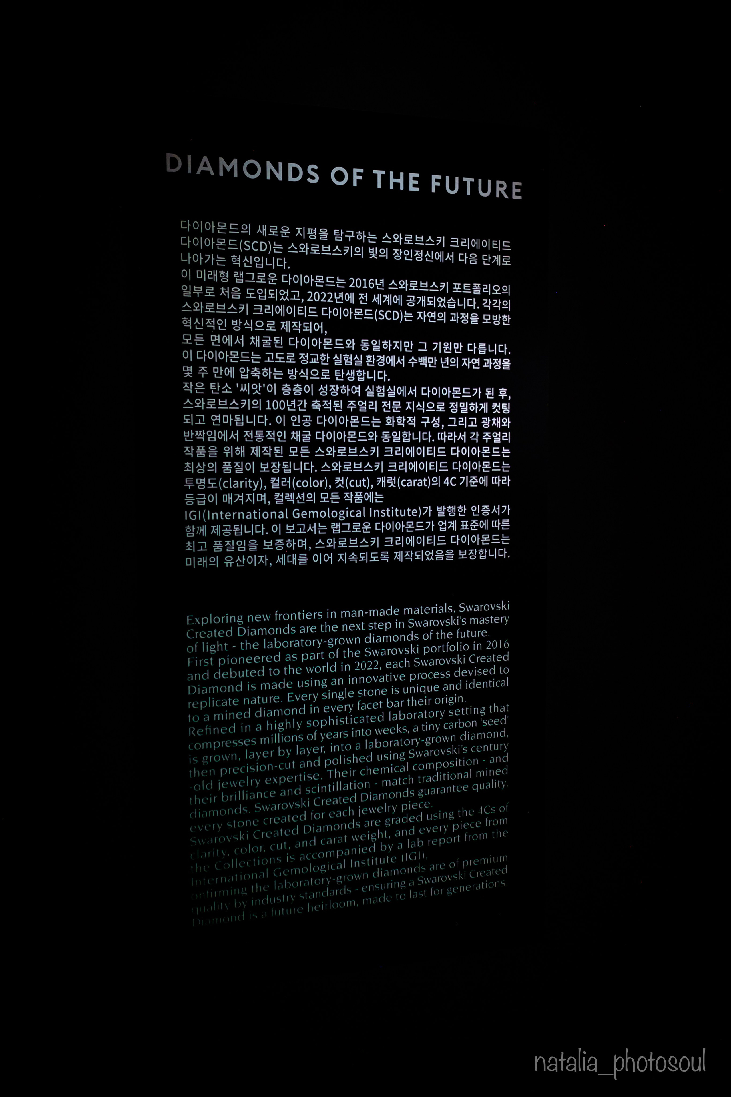 SWAROVSKI MASTERS OF LIGHT FROM VIENNA TO SEOUL. Photographer in Seoul Dobrokvashina Natalya