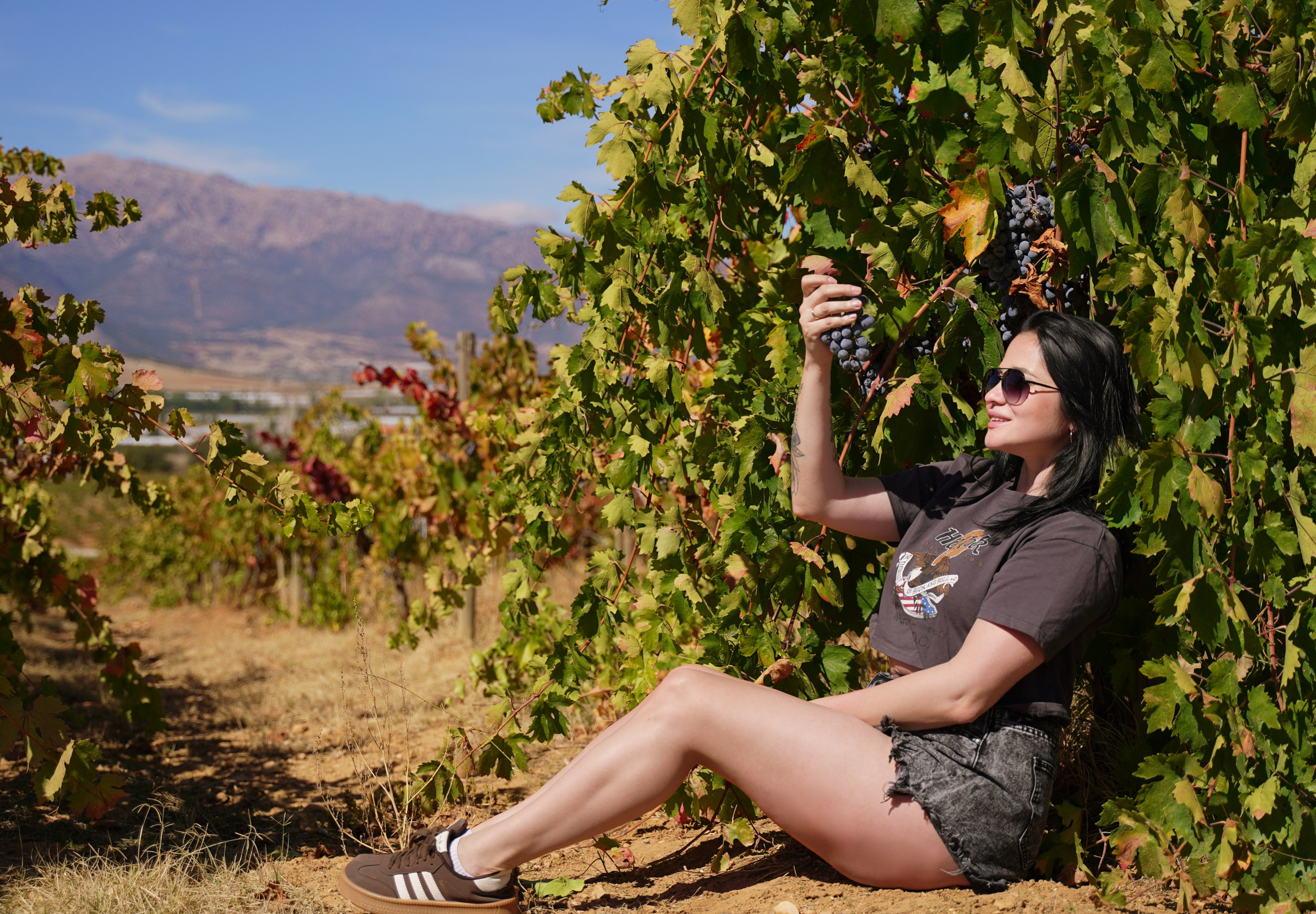 Путешествие на Ликийскую винодельню. Ирина, фотограф в Анталии. Фотосессии в Кемере, Белеке, Сиде, Бодруме, Каше и Фетхие