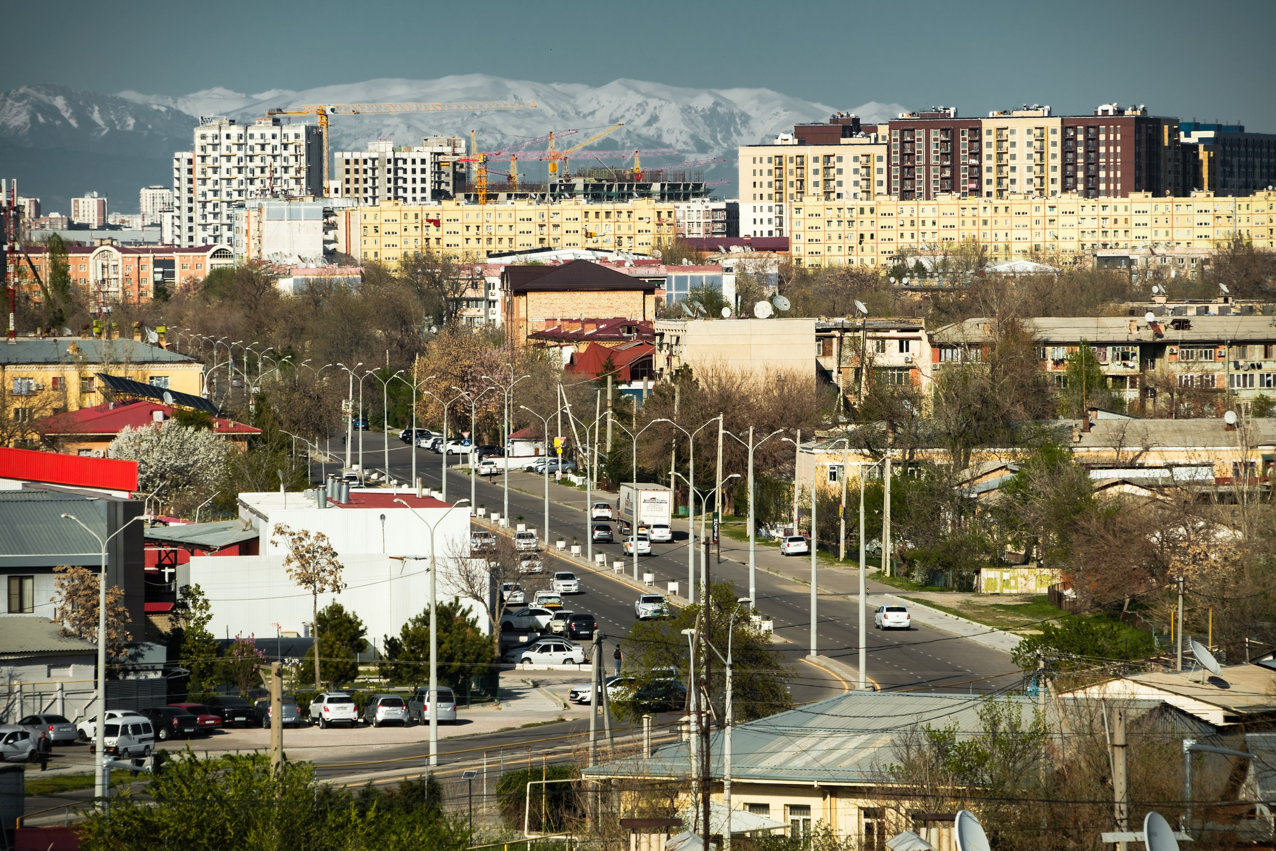 Обзор на объектив 16-300мм Sigma. Личные впечатления и опыт использования. Фотограф Григорий Кравец