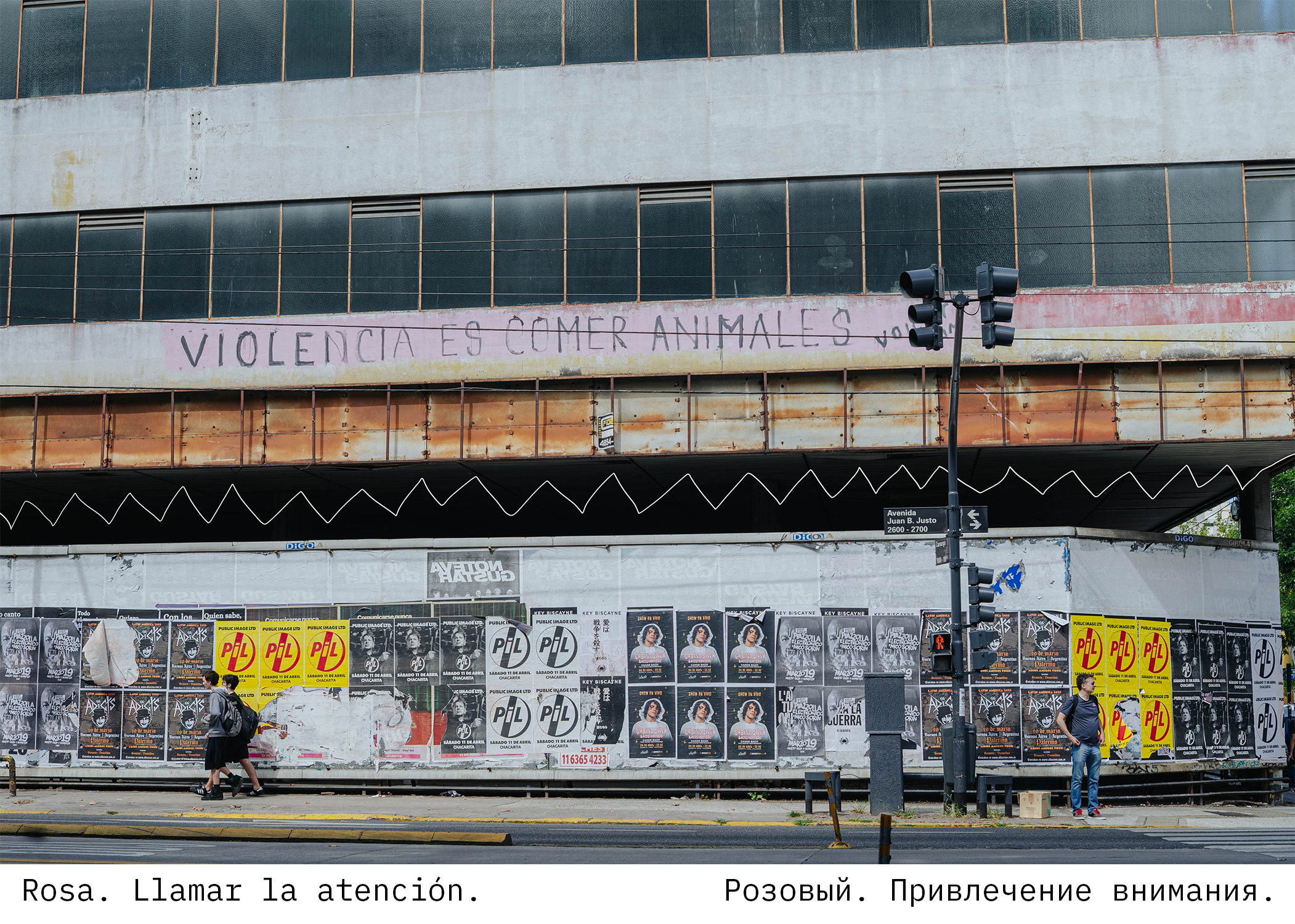 Perla. Los colores. Photographer @elmirkami in the city of Buenos Aires