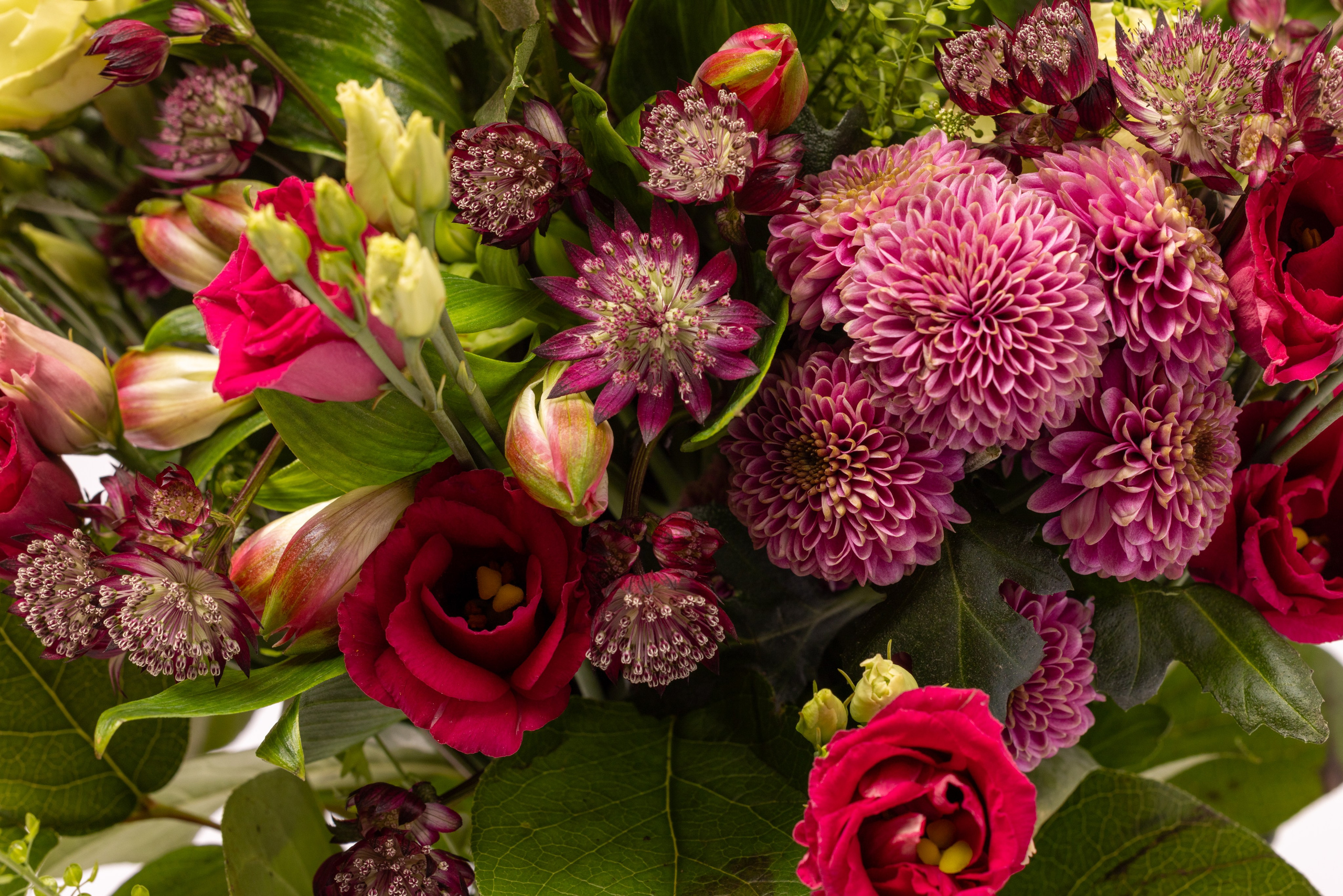 Levering i Aarhus og omegn. En vild buket.  Hvis du har nogle specifikke ønsker til farve, bedes du skrive en kommentar - så gør vi vores bedste. Alle vores buketter laves ud fra sæsonens udvalg af blomster, og billedet er derfor vejledende.