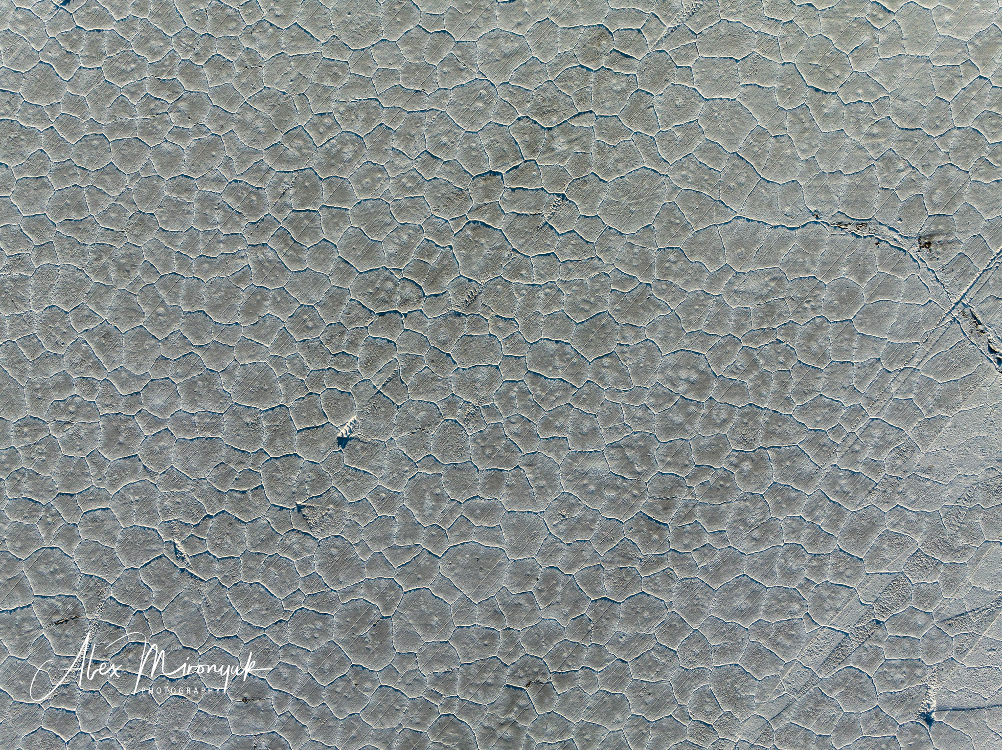 Unknown Northern Argentina. Pet, Senior, Landscape, portrait studio, photographer in Miami and Sou