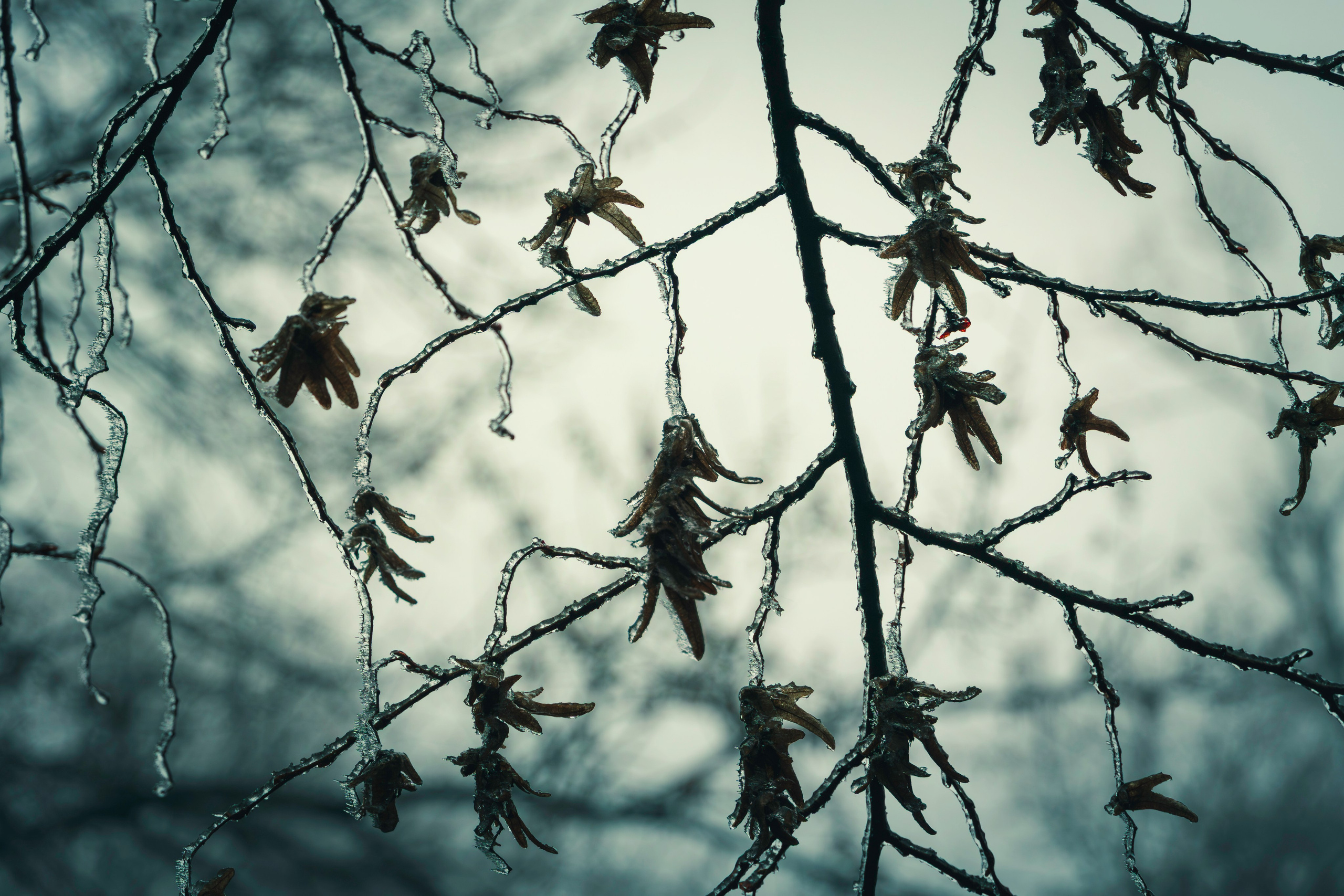 Pavel Baturin Landscape Photography