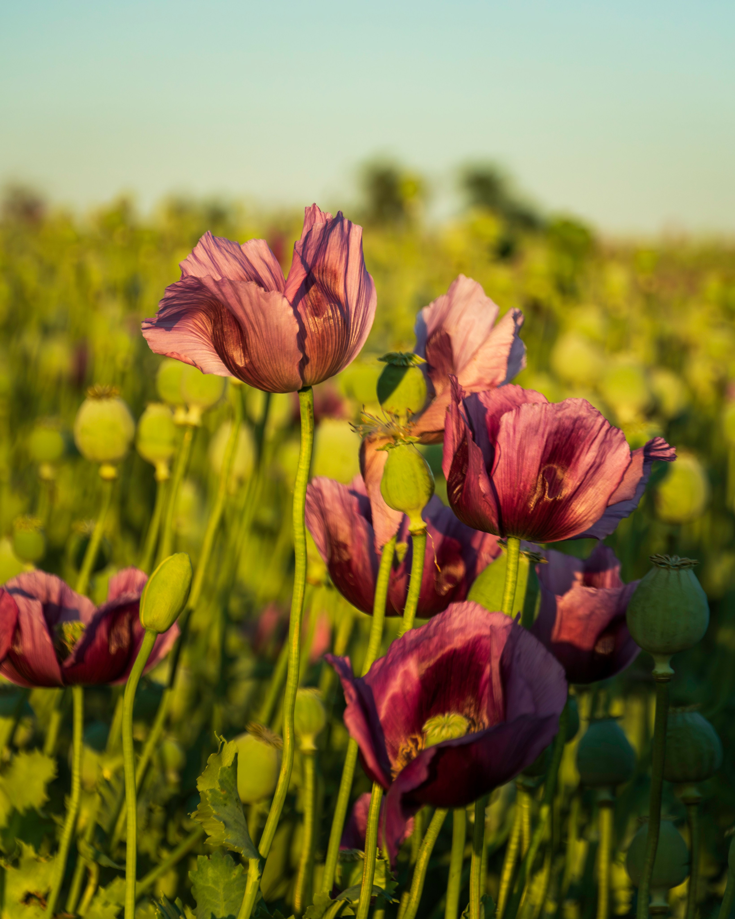 Pavel Baturin Landscape Photography