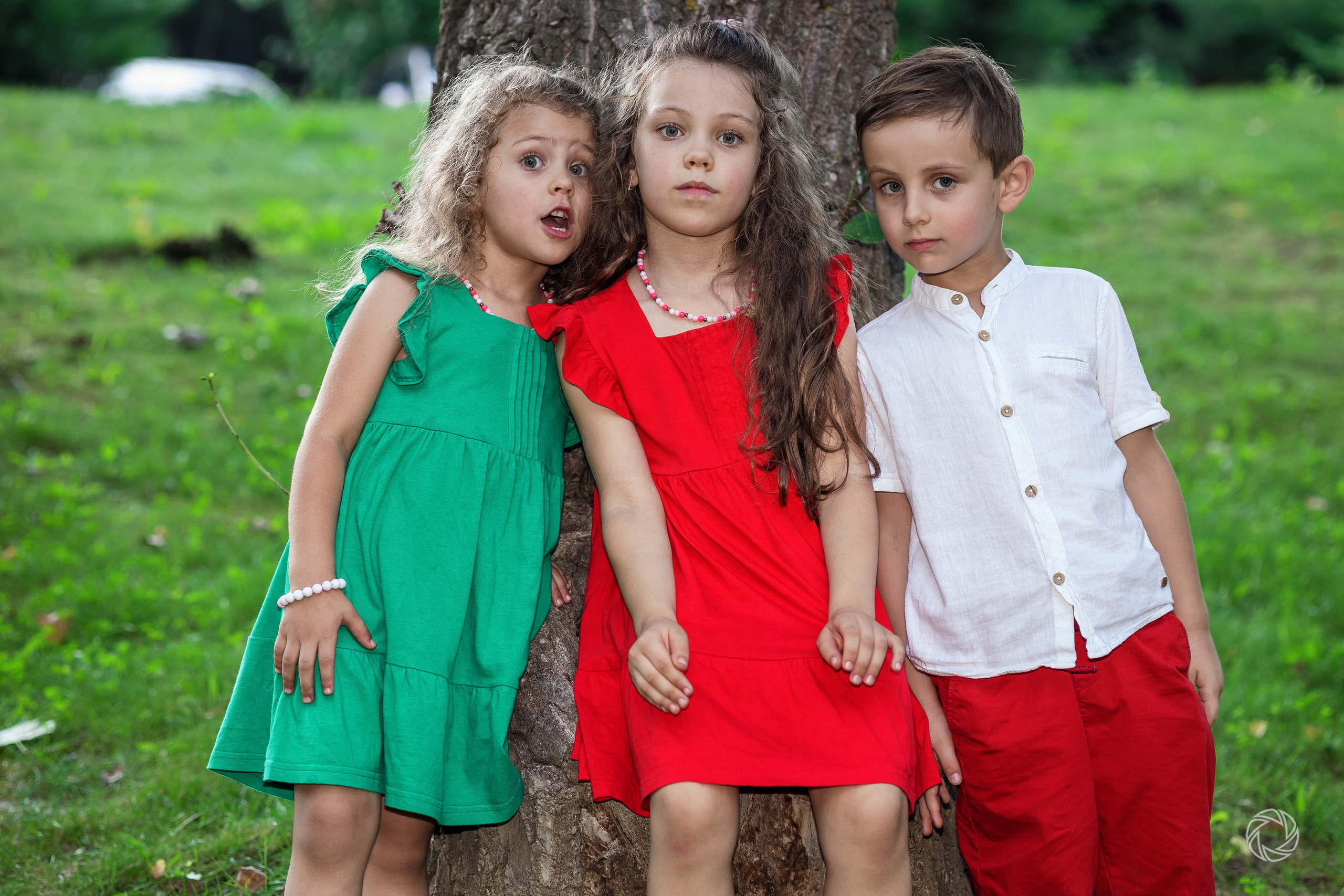 Daniel. ✔️ Фото Видео на свадьбы и крестины Молдова — Cinematic.md