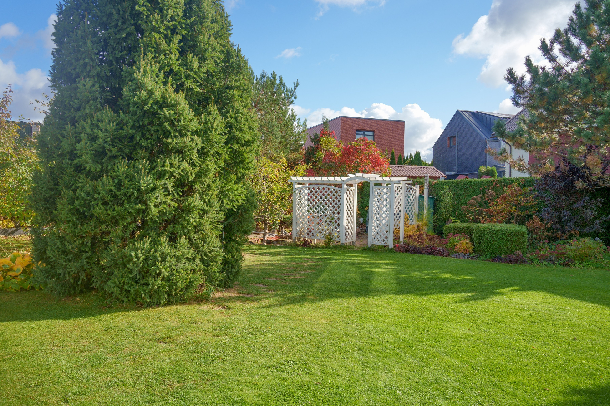 Ežerėlio g. 10. Elina Sapiega fotografė Vilniuje