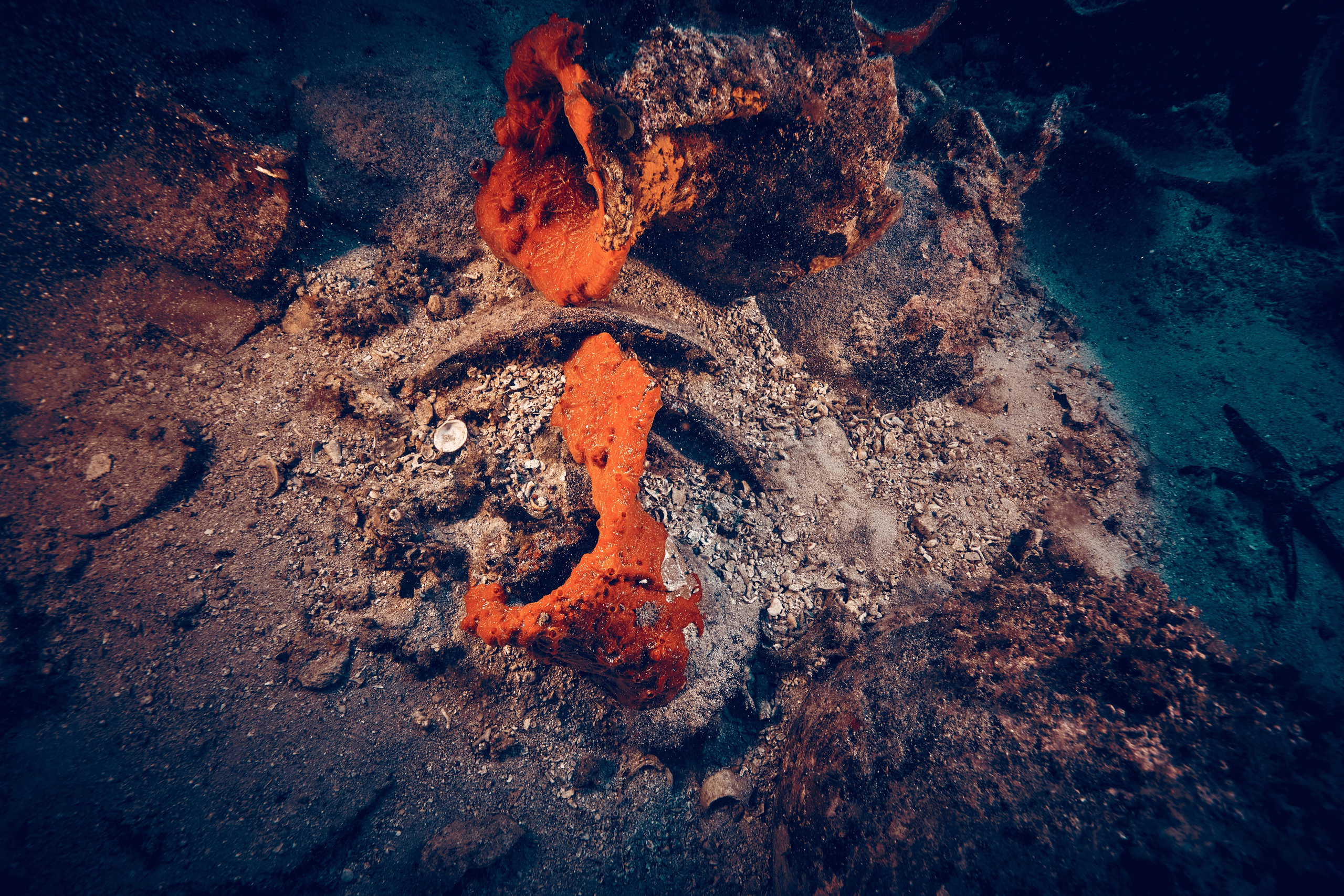 Wielka Niebieska Tajemnica. Andriej Szypilow — Photography & Videography