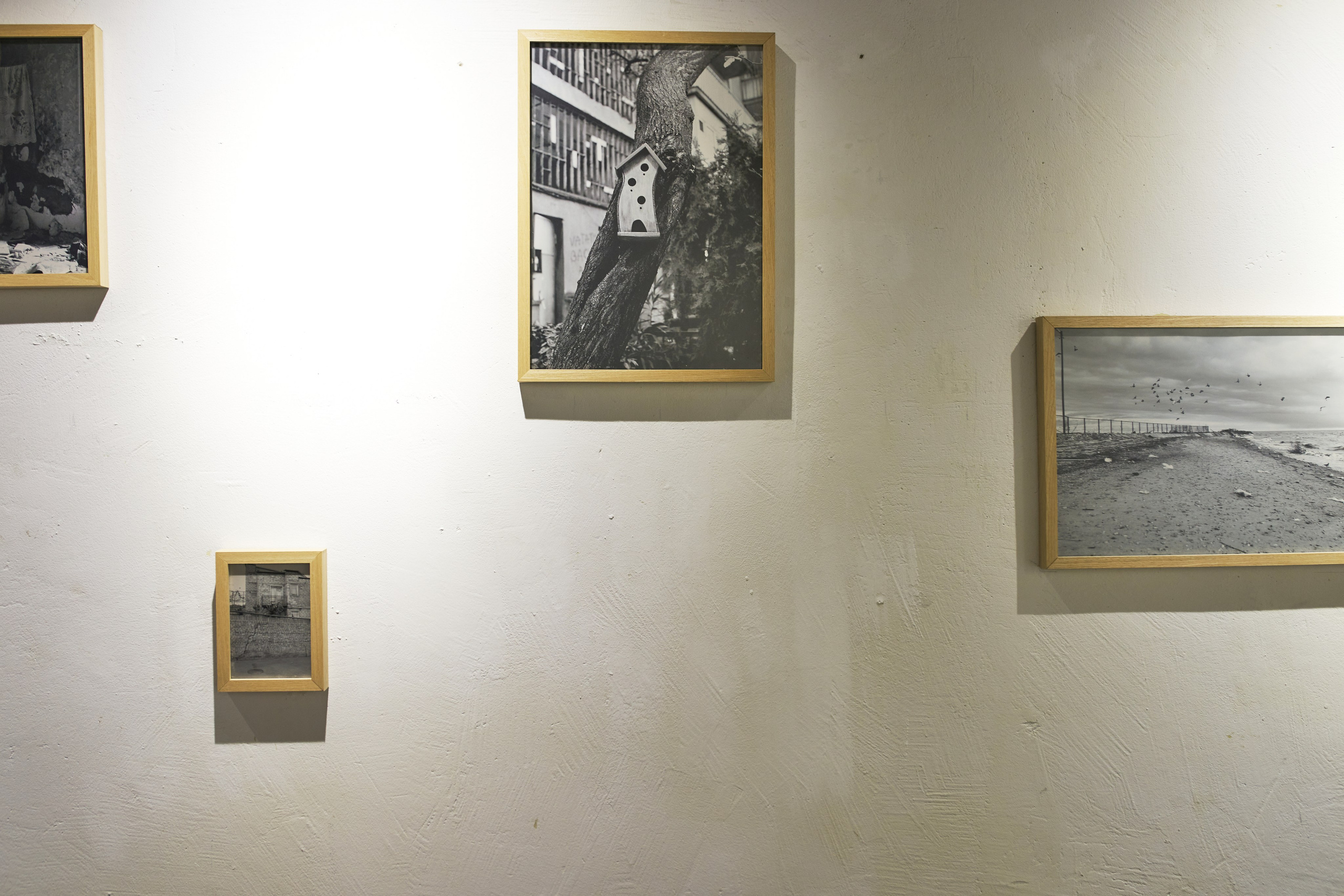 Installations. Visual artist