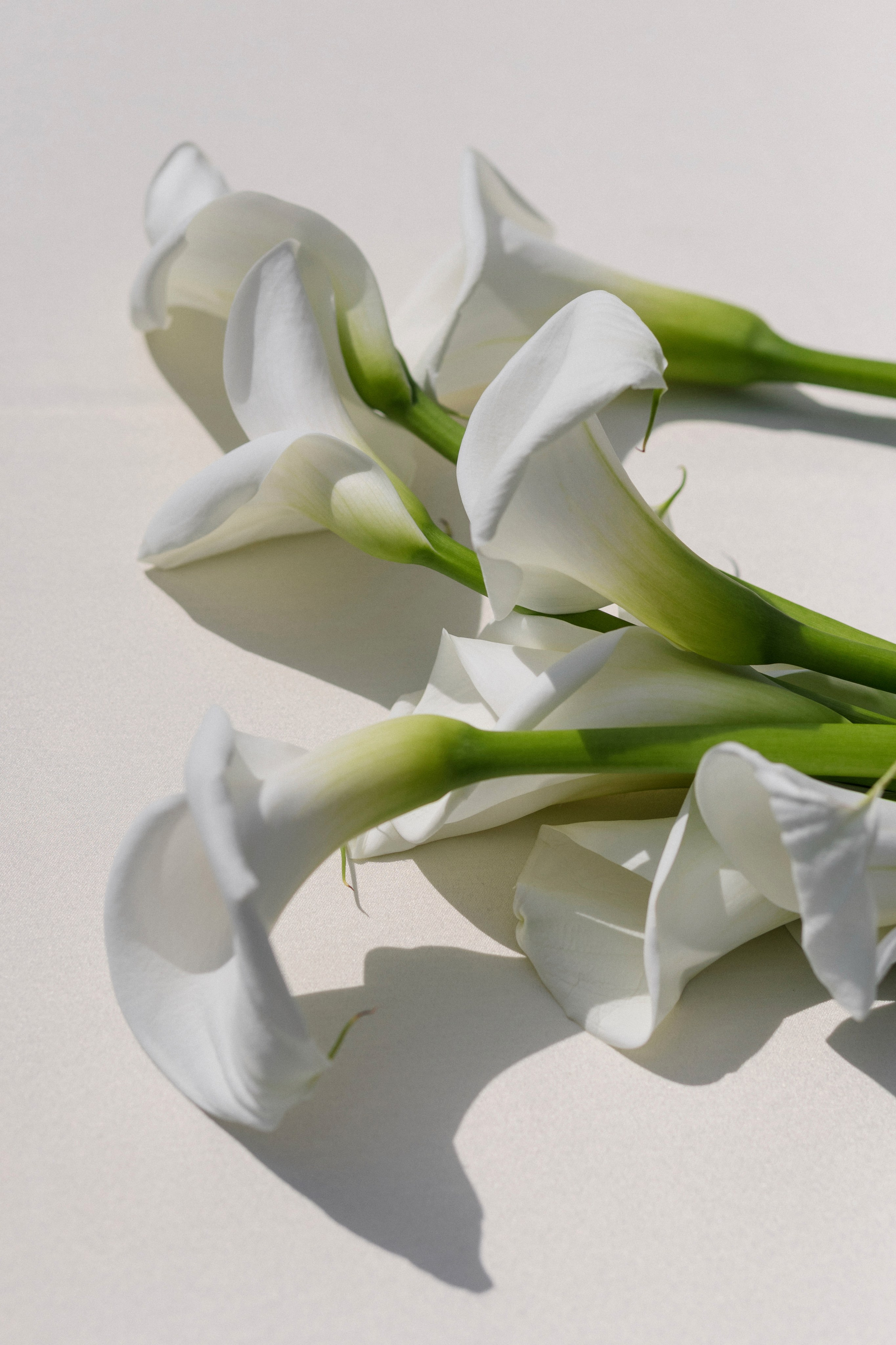 Alissa & Jakob · Villa Grabau, Tuscany. Raw Studio: Capturing Elegant weddings accross Europe