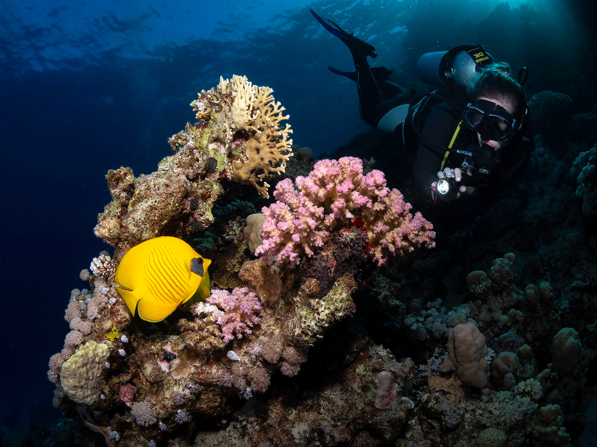 Underwater Photo Shoot. Your photographer on land and under water— Alexey Zaytsev
