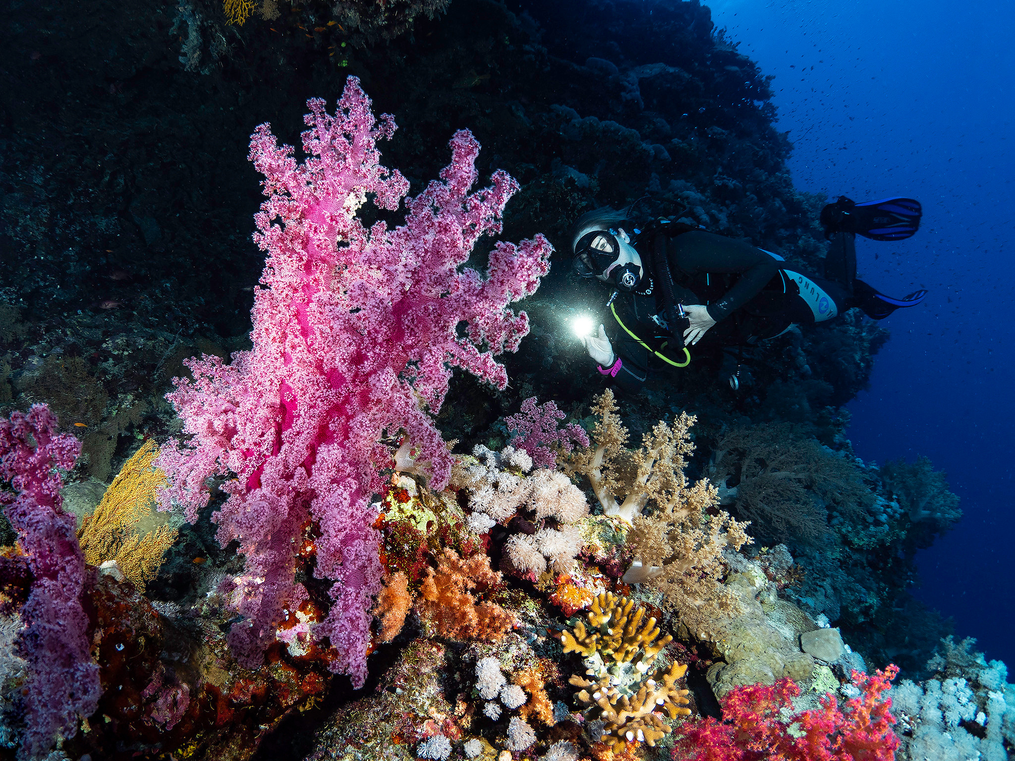 Underwater Photo Shoot. Your photographer on land and under water— Alexey Zaytsev