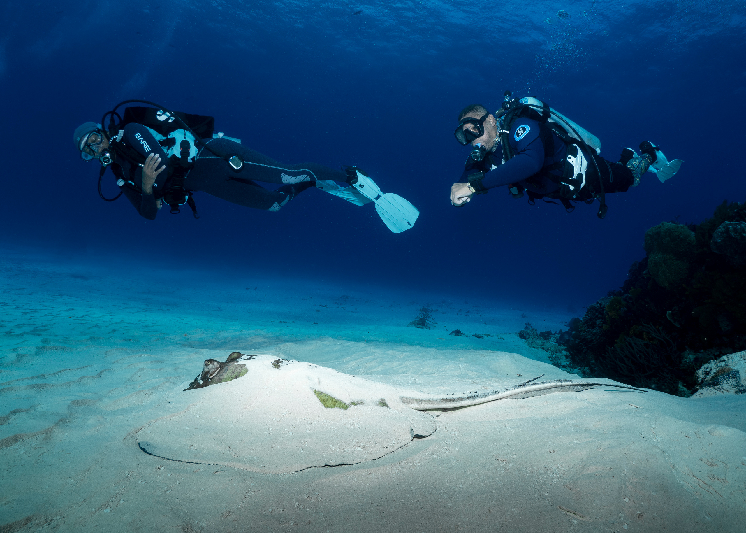 Underwater Photo Shoot. Your photographer on land and under water— Alexey Zaytsev