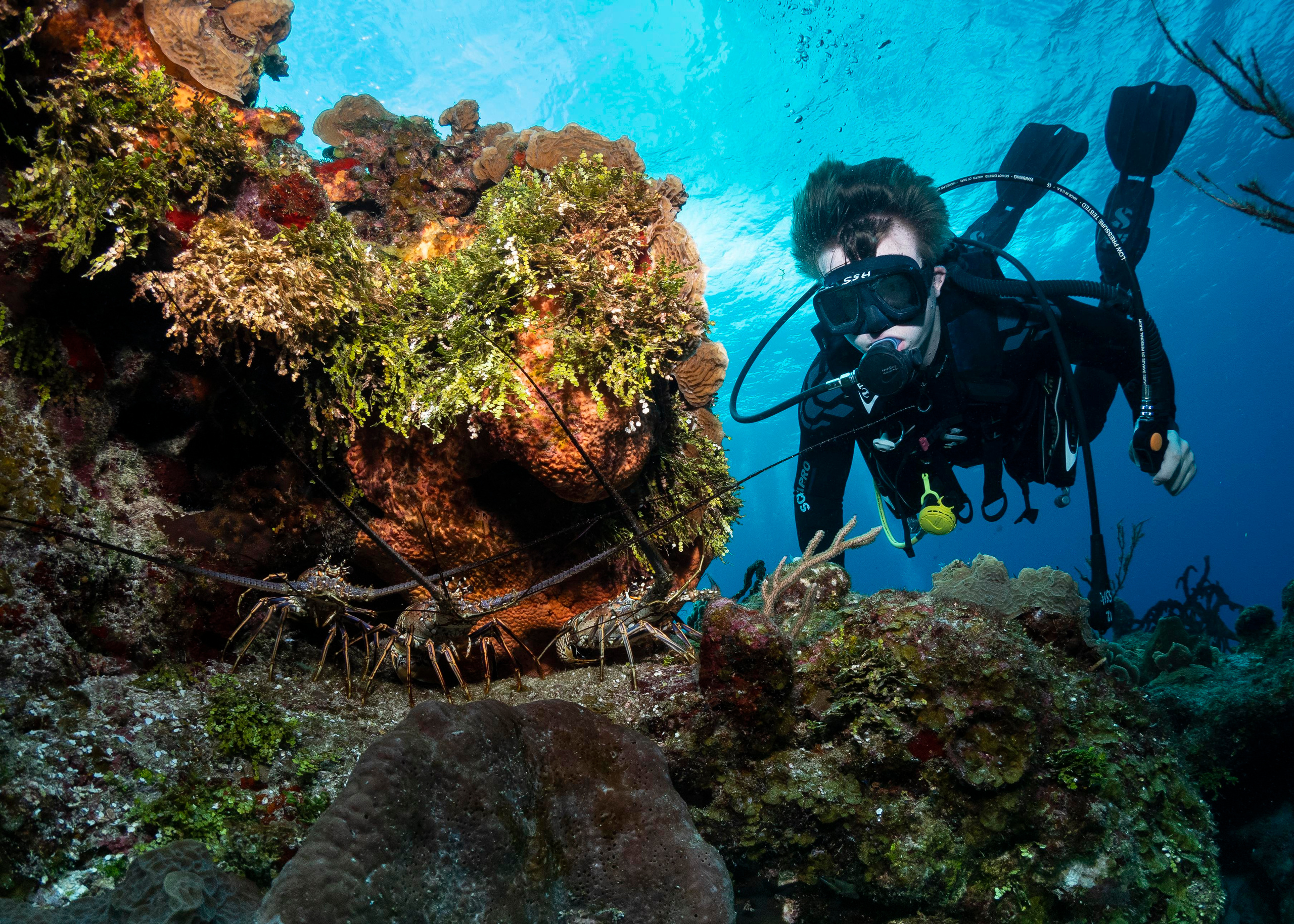 Underwater Photo Shoot. Your photographer on land and under water— Alexey Zaytsev