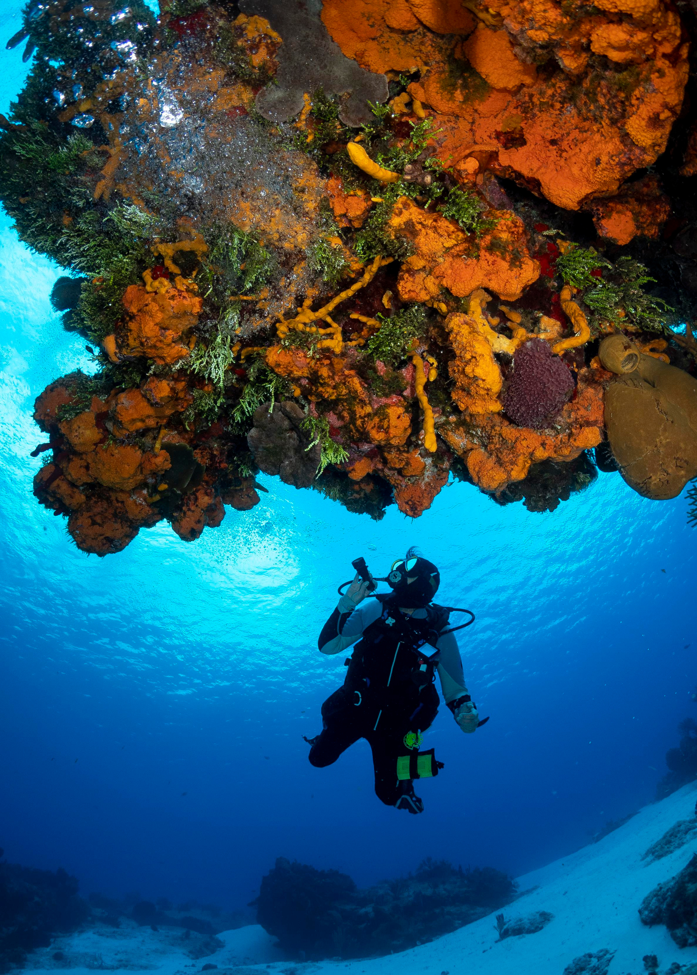 Underwater Photo Shoot. Your photographer on land and under water— Alexey Zaytsev