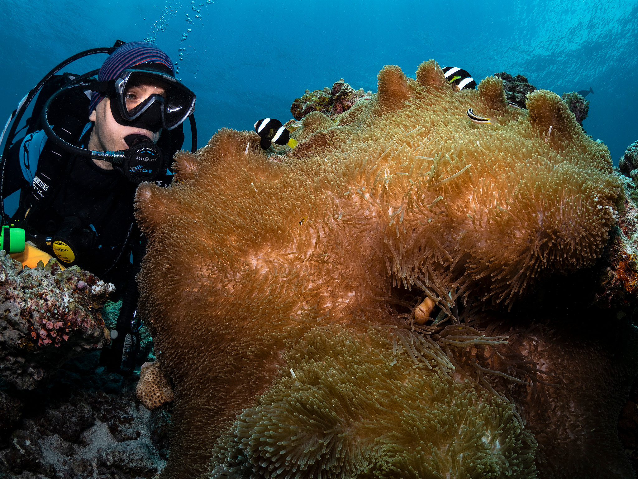 Underwater Photo Shoot. Your photographer on land and under water— Alexey Zaytsev