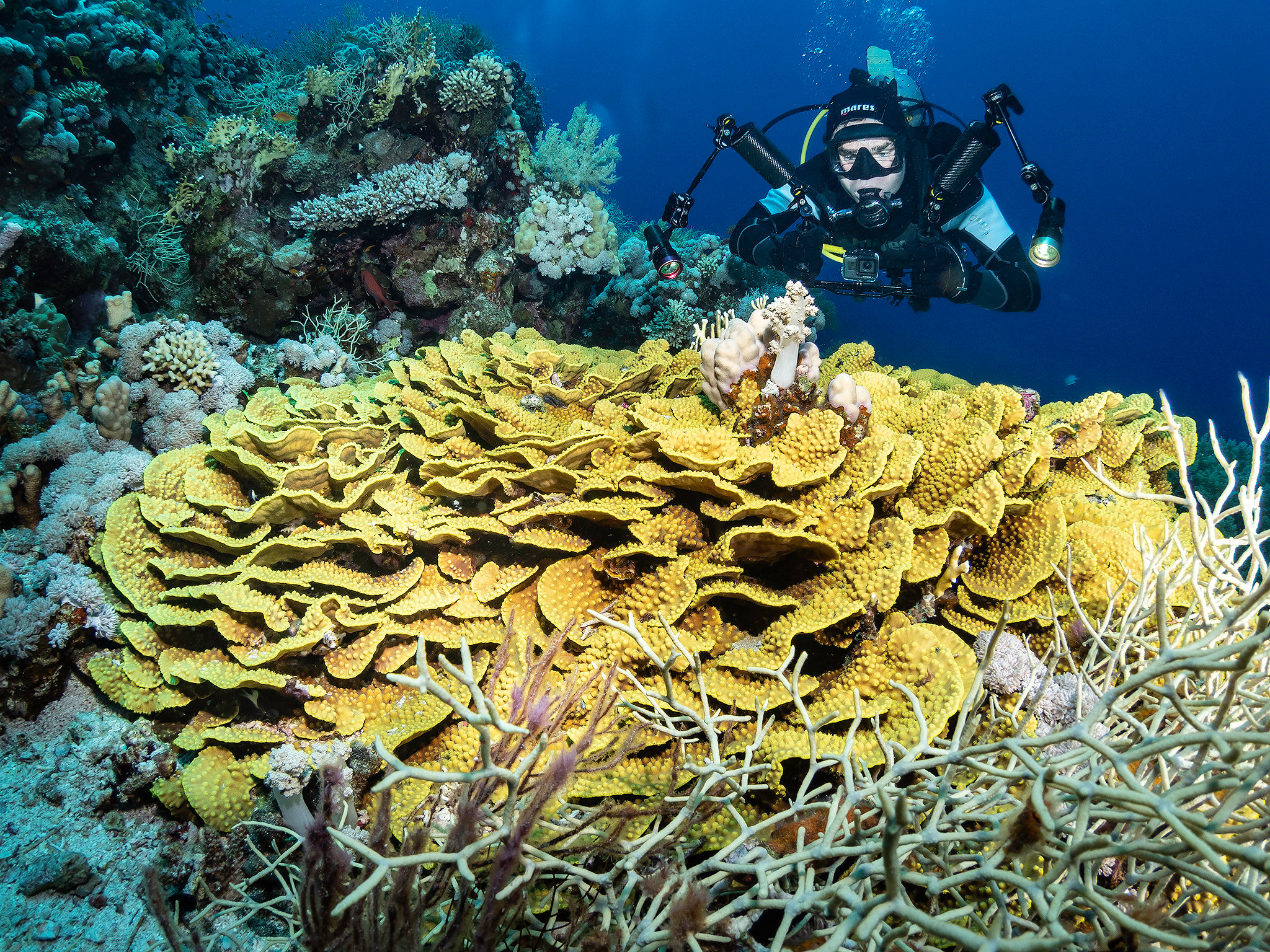 Underwater Photo Shoot. Your photographer on land and under water— Alexey Zaytsev