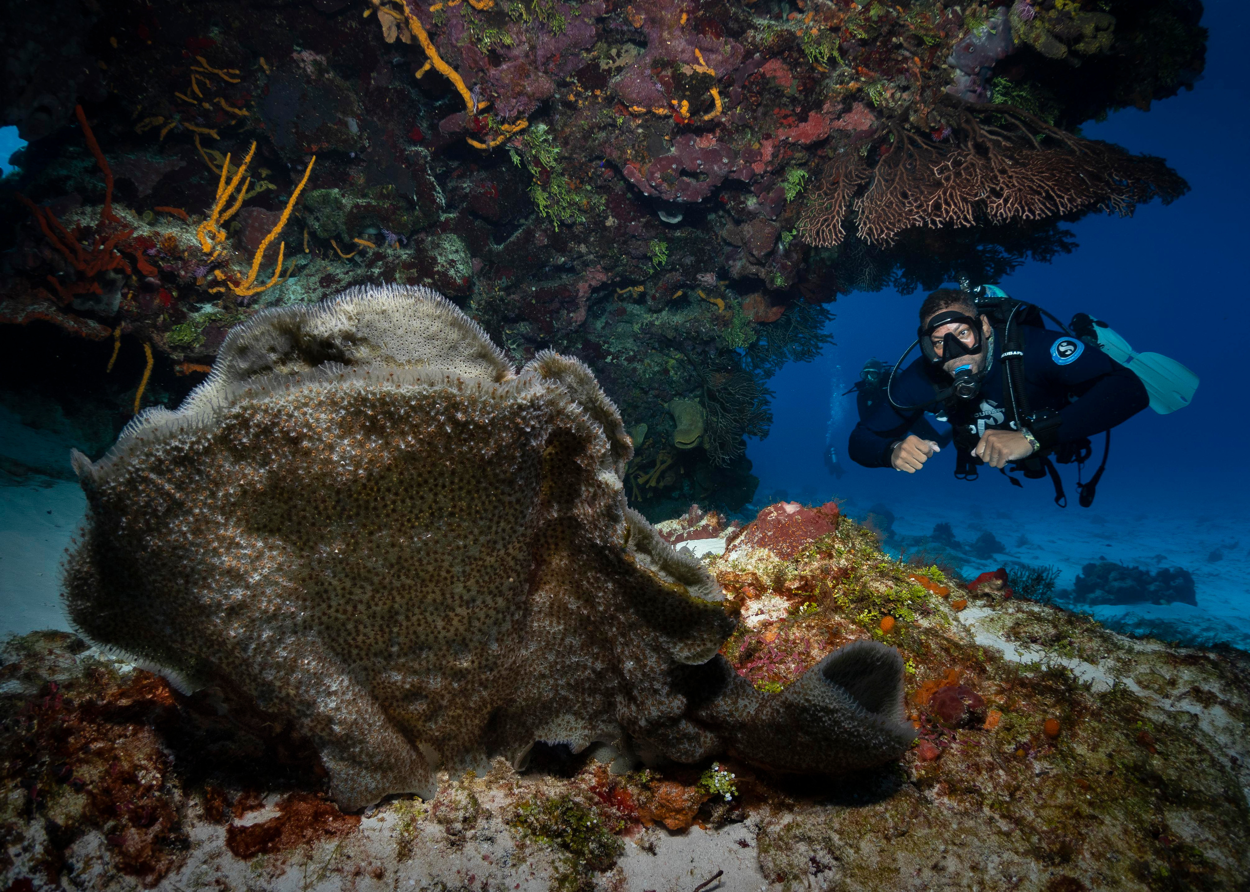 Underwater Photo Shoot. Your photographer on land and under water— Alexey Zaytsev