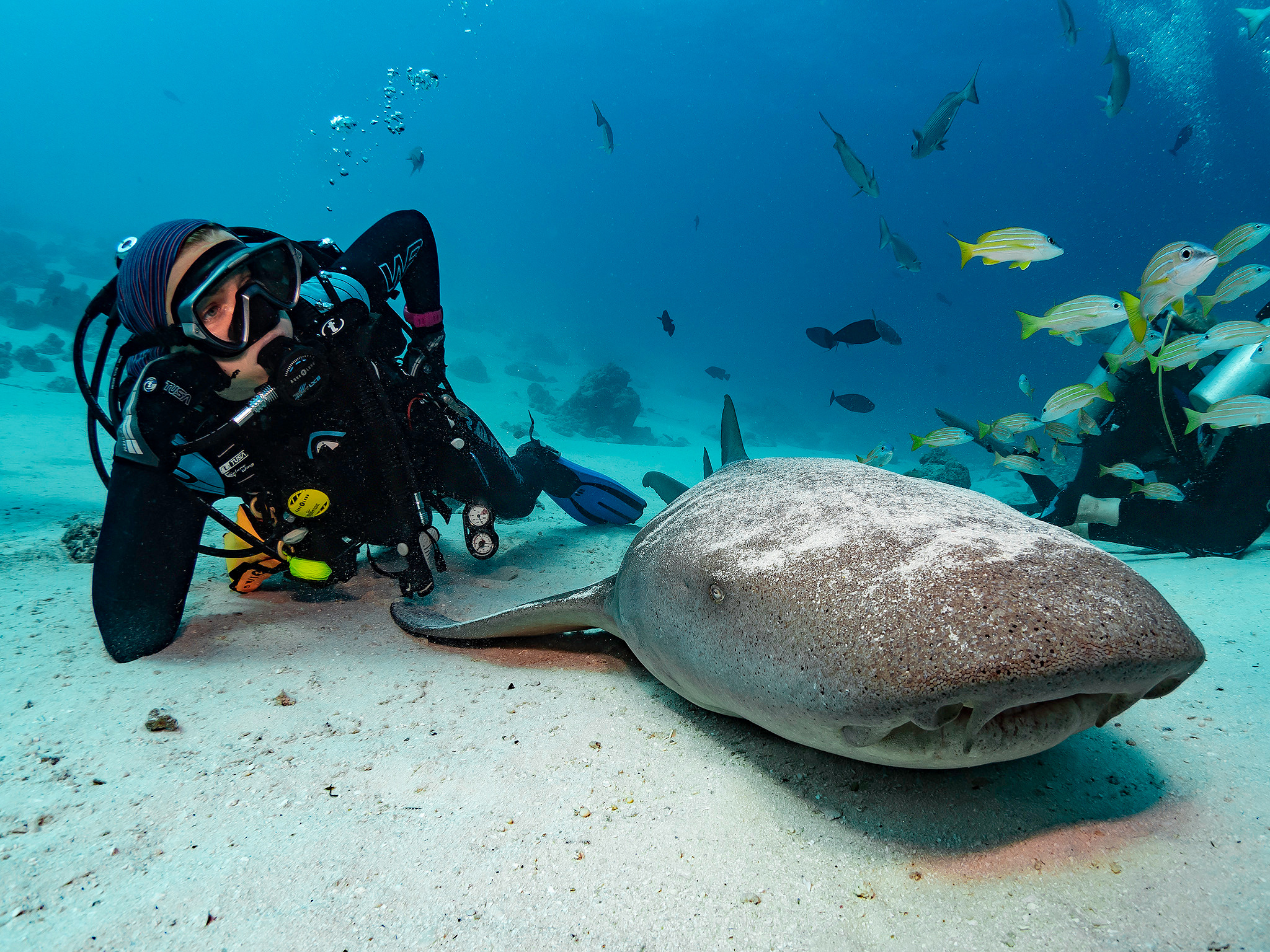 Underwater Photo Shoot. Your photographer on land and under water— Alexey Zaytsev