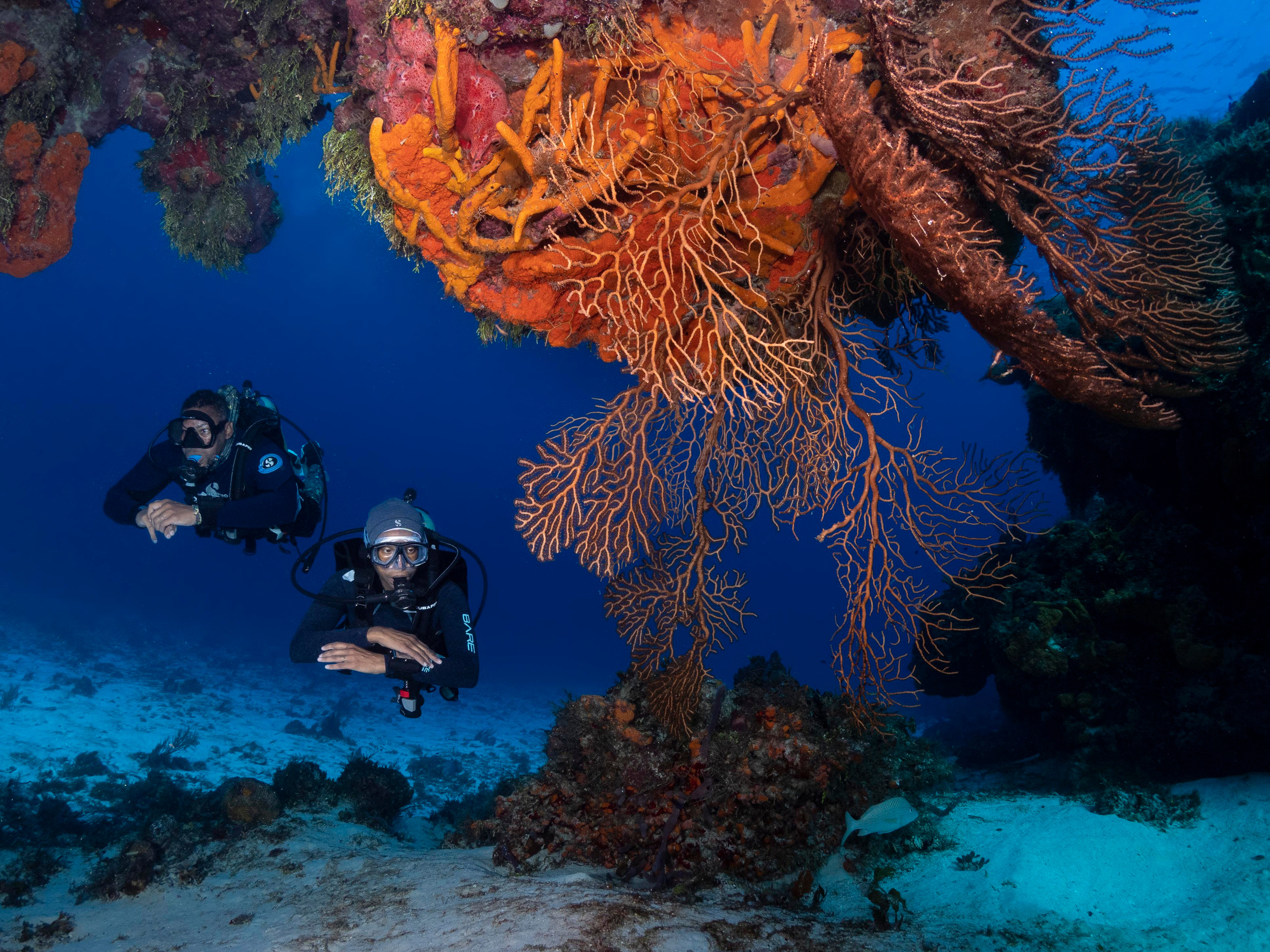 Underwater Photo Shoot. Your photographer on land and under water— Alexey Zaytsev