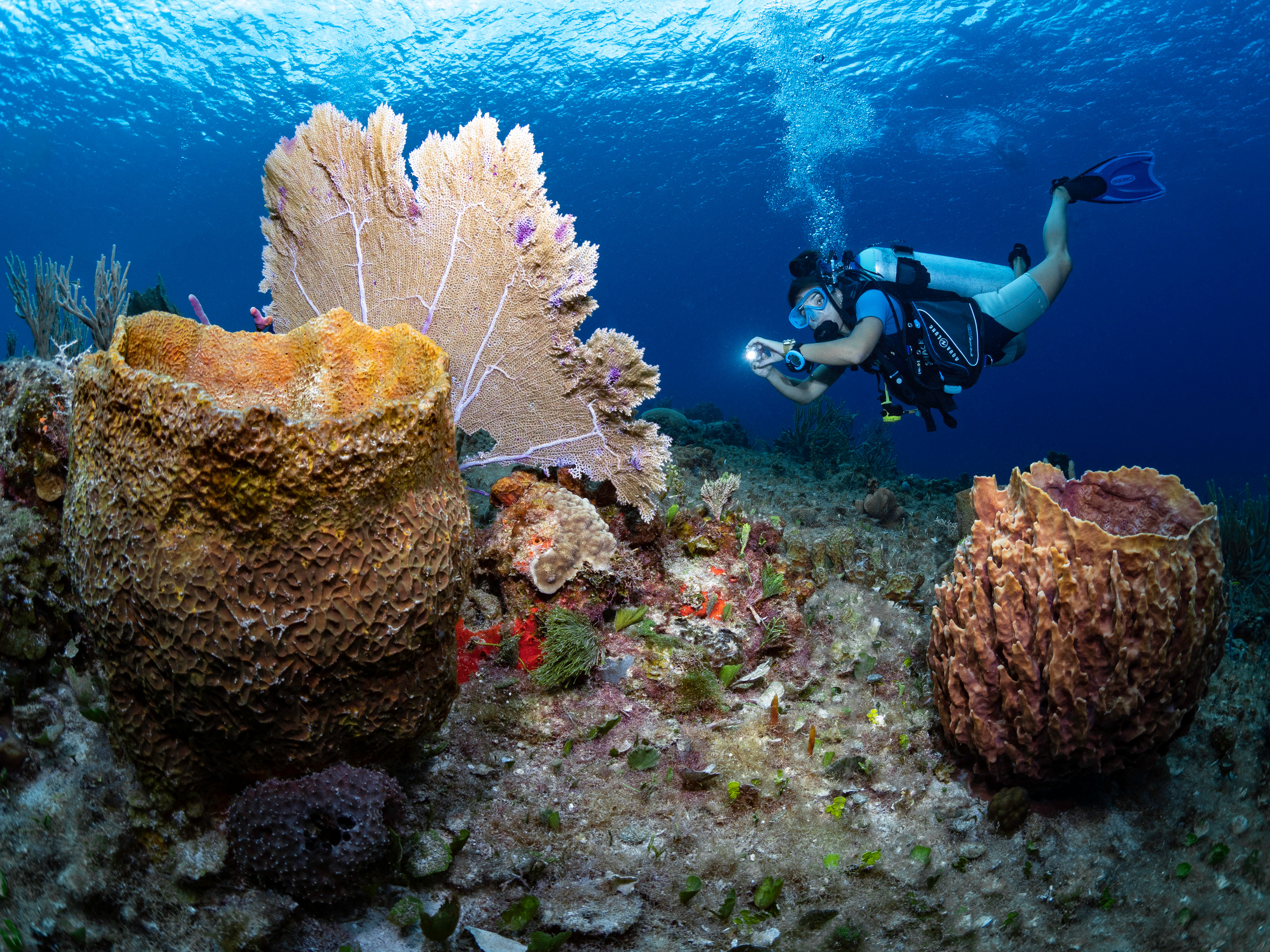 Underwater Photo Shoot. Your photographer on land and under water— Alexey Zaytsev