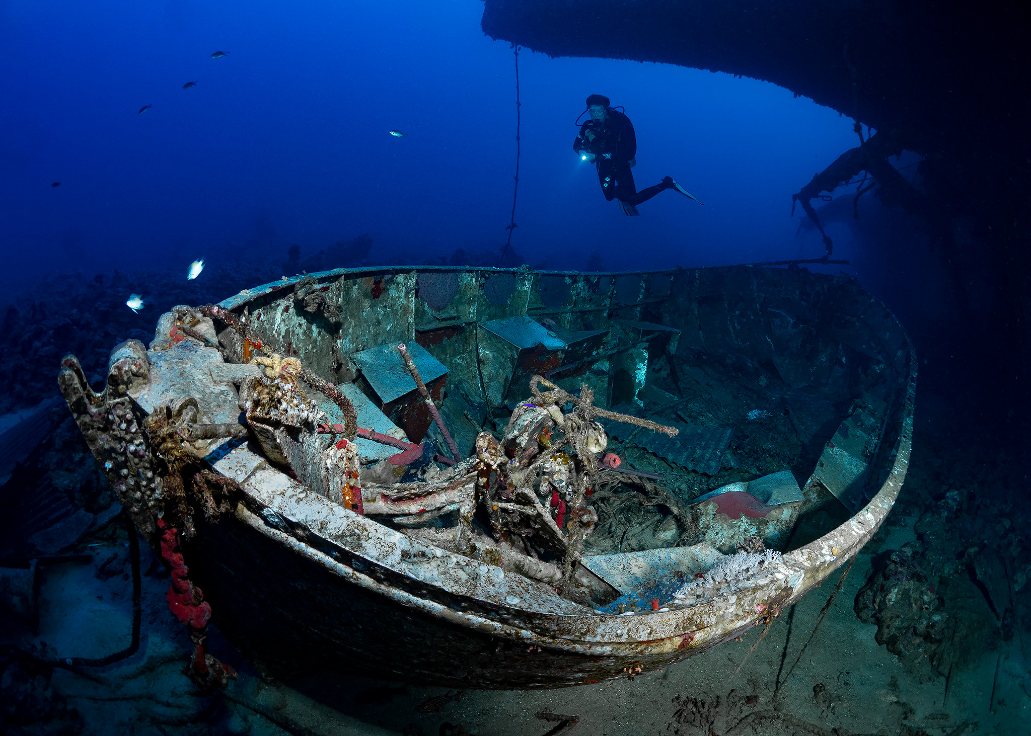 Underwater Photo Shoot. Your photographer on land and under water— Alexey Zaytsev